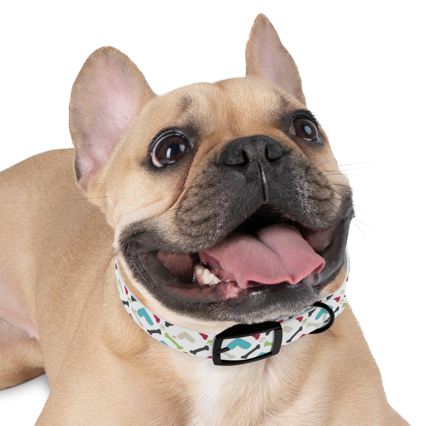 Bones, Paw prints and Hearts Oh My! Dog Collar