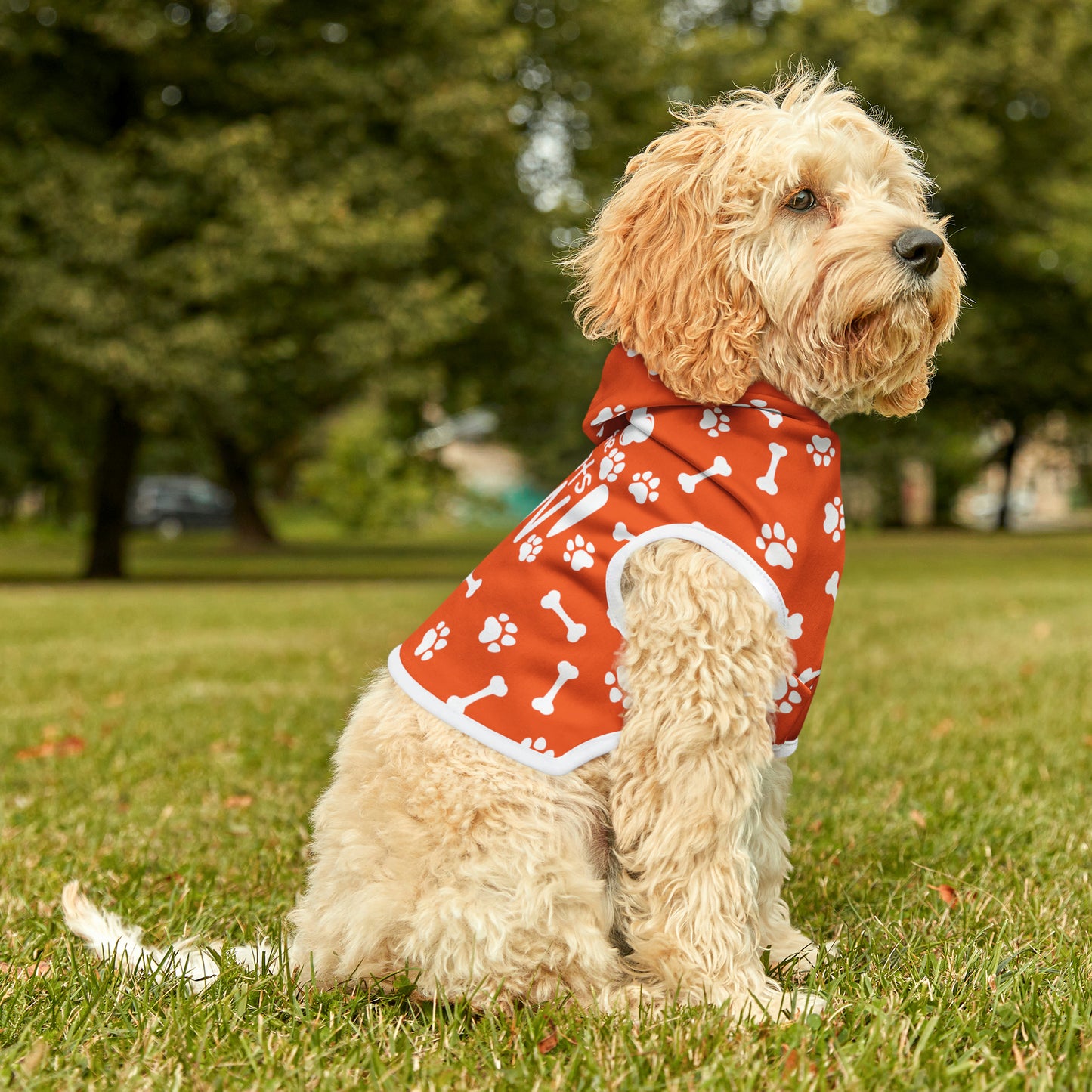 Spill the Treats Orange Pet Hoodie