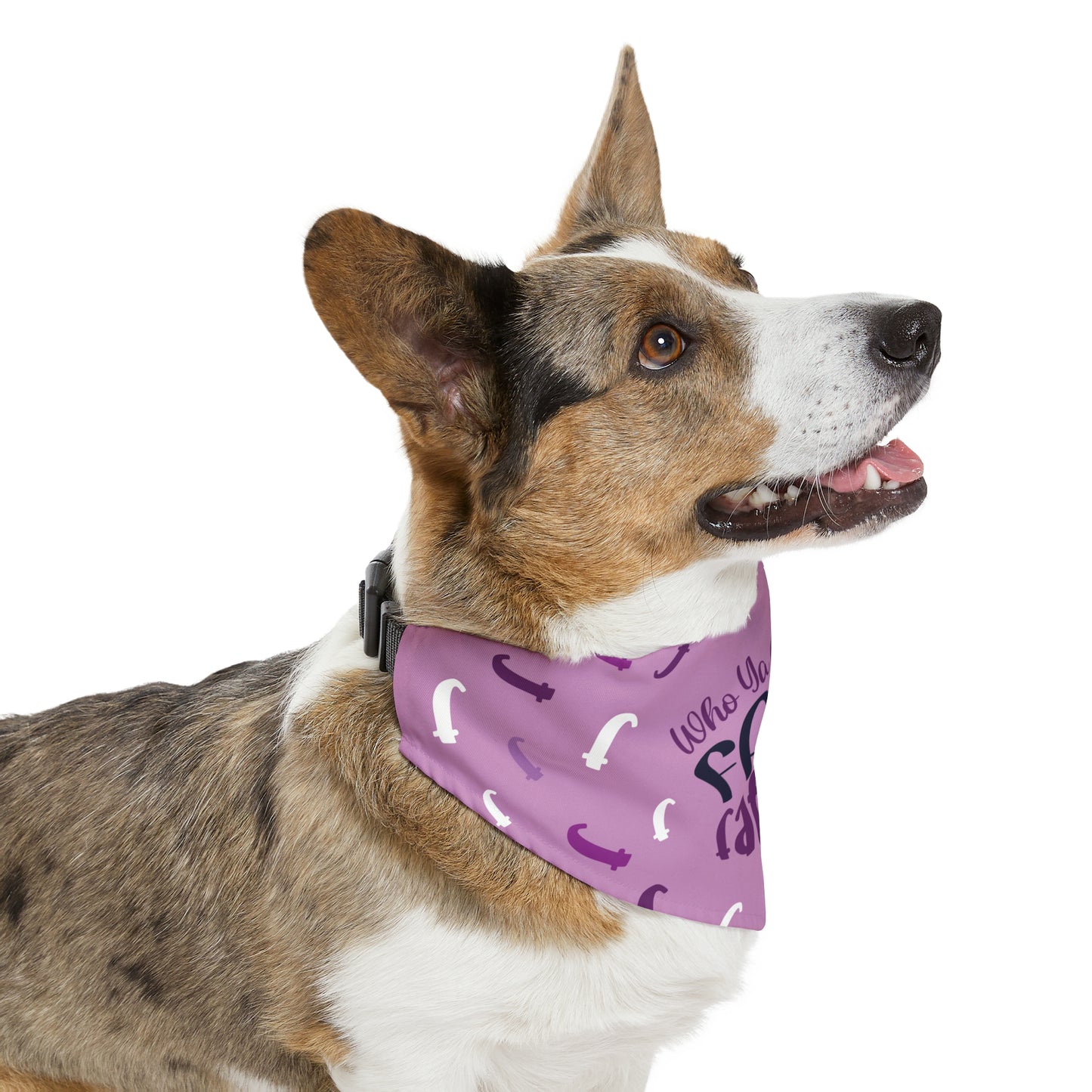 Who Ya Callin' Fat Purple Pet Bandana Collar