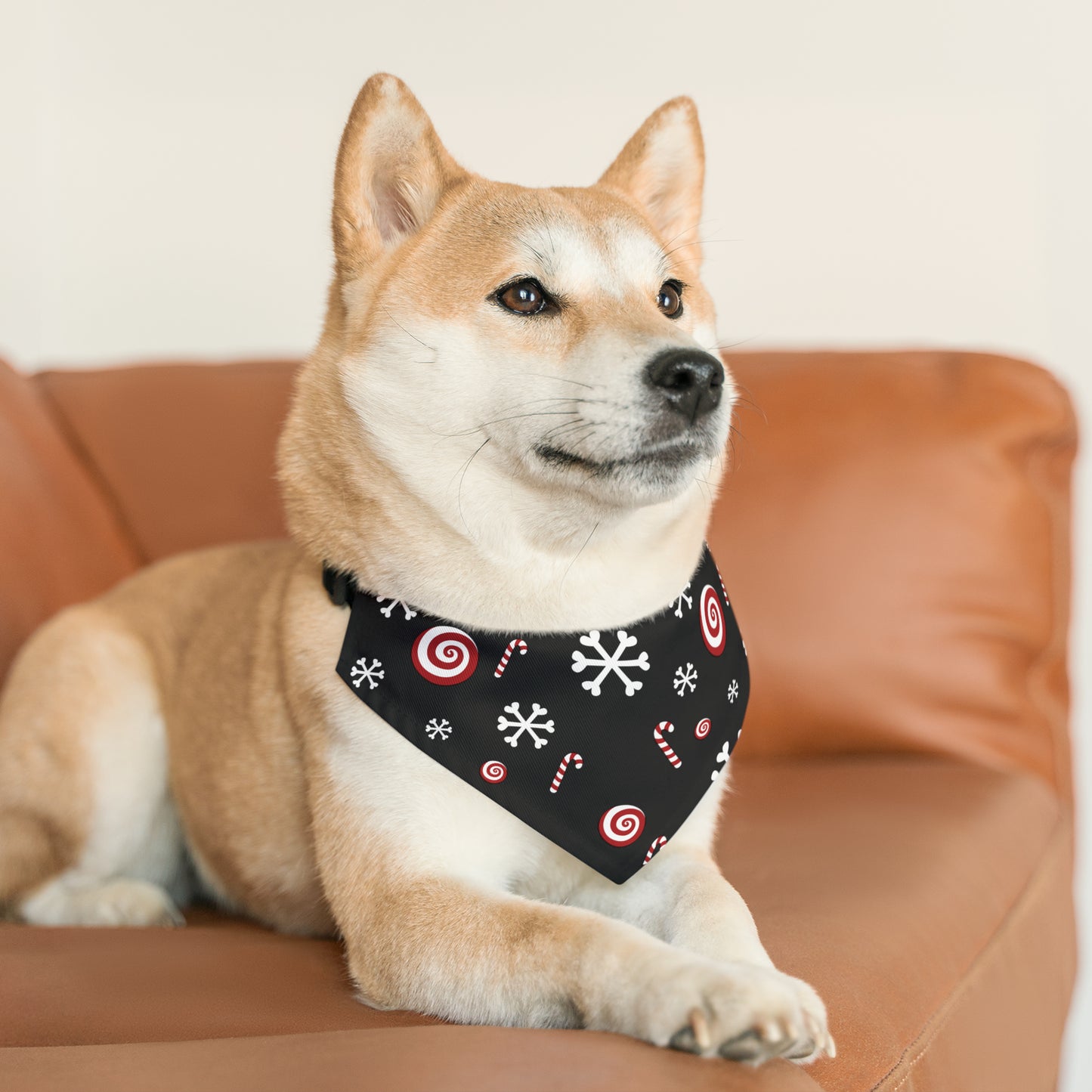 Candy Cane Collar Bandana ~ Black