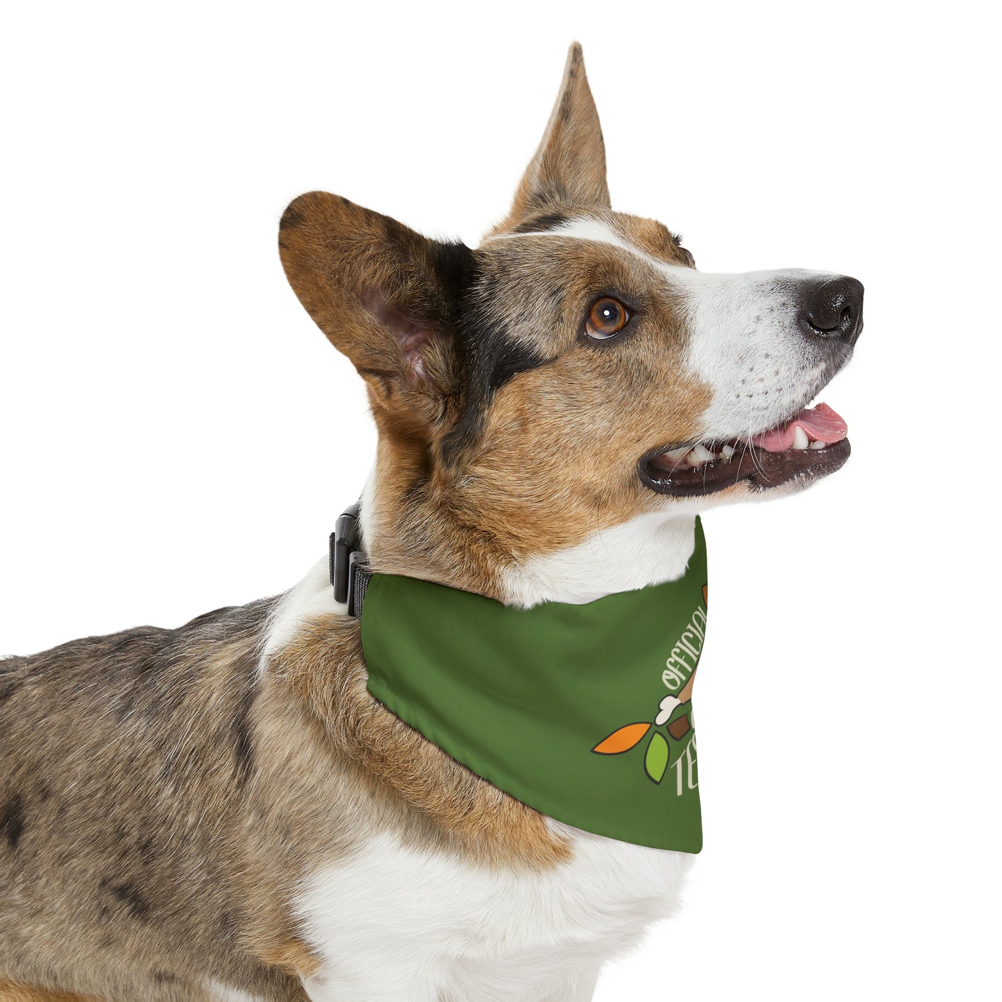 Official Turkey Tester Dark Green Pet Bandana Collar