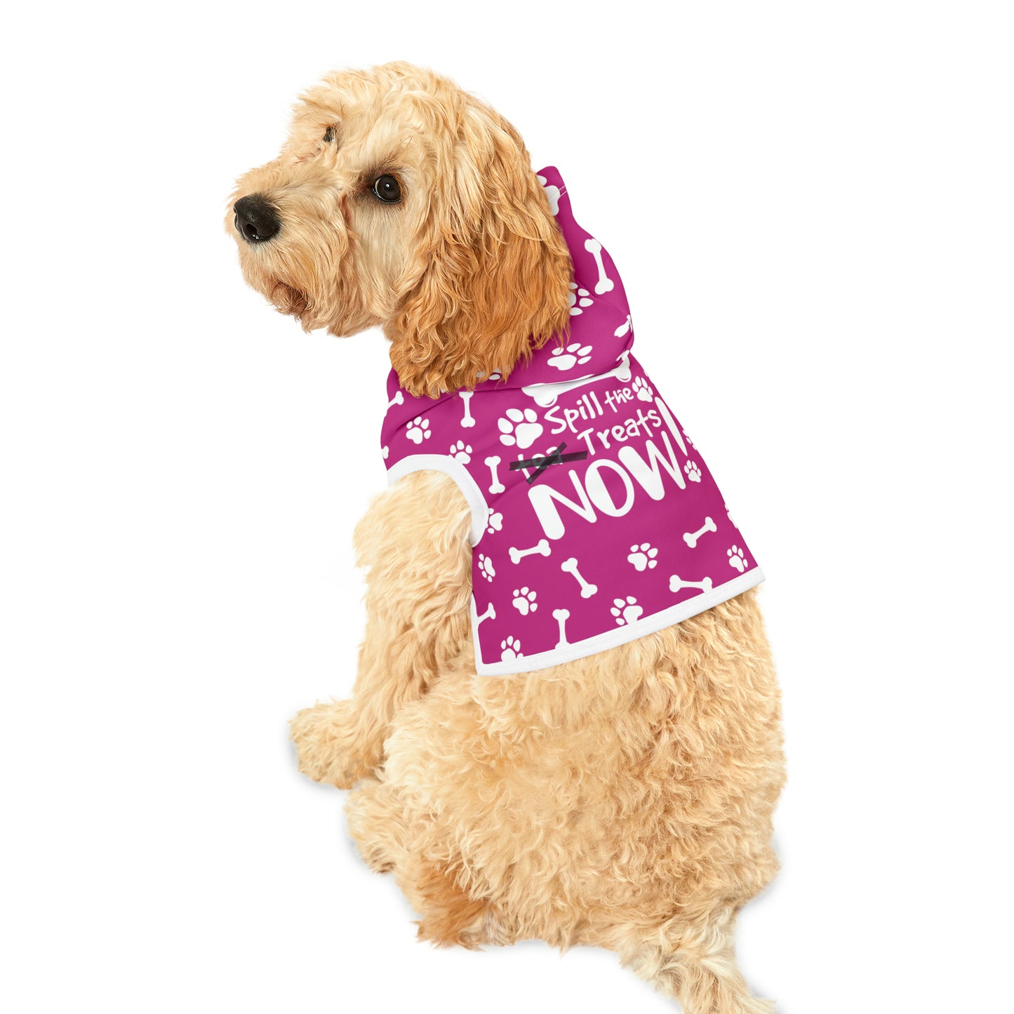 Spill the Treats Fuchsia Pet Hoodie