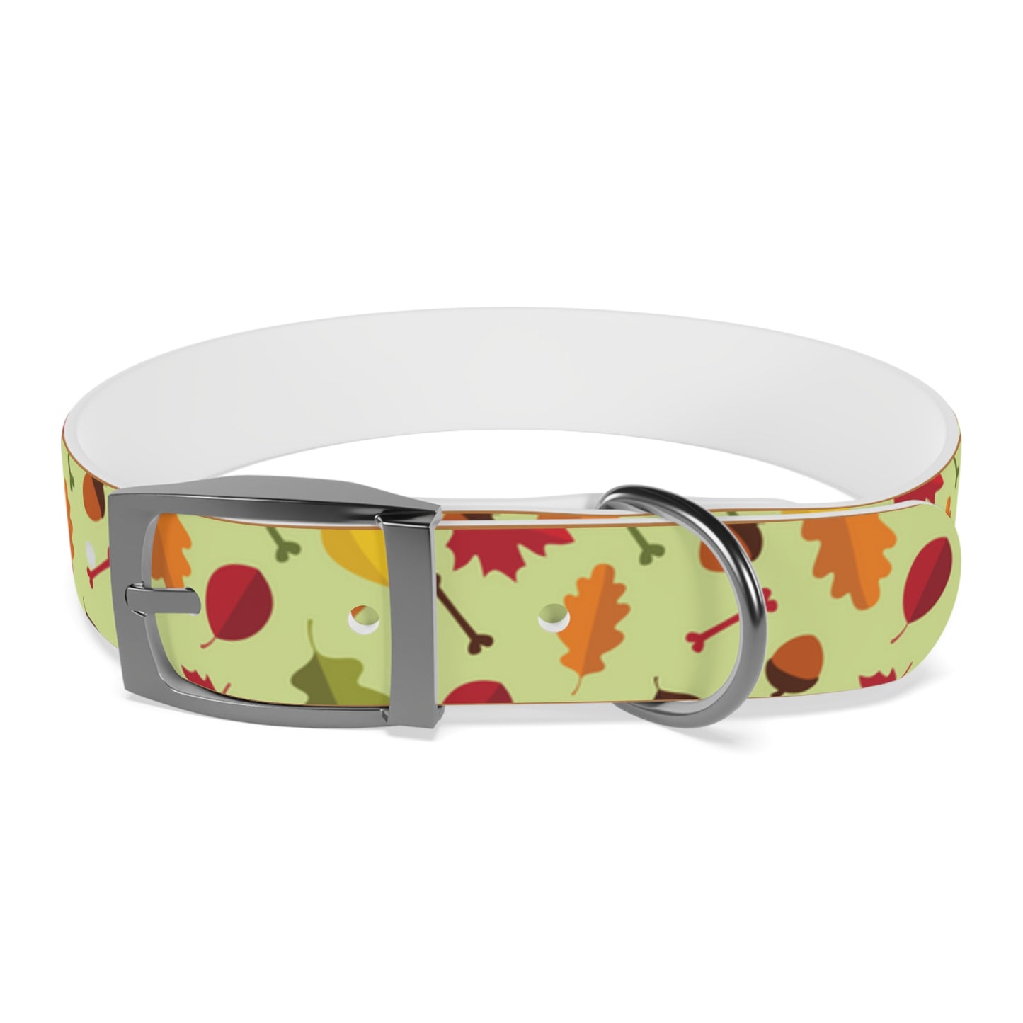 Color Me Fall Dog Collar