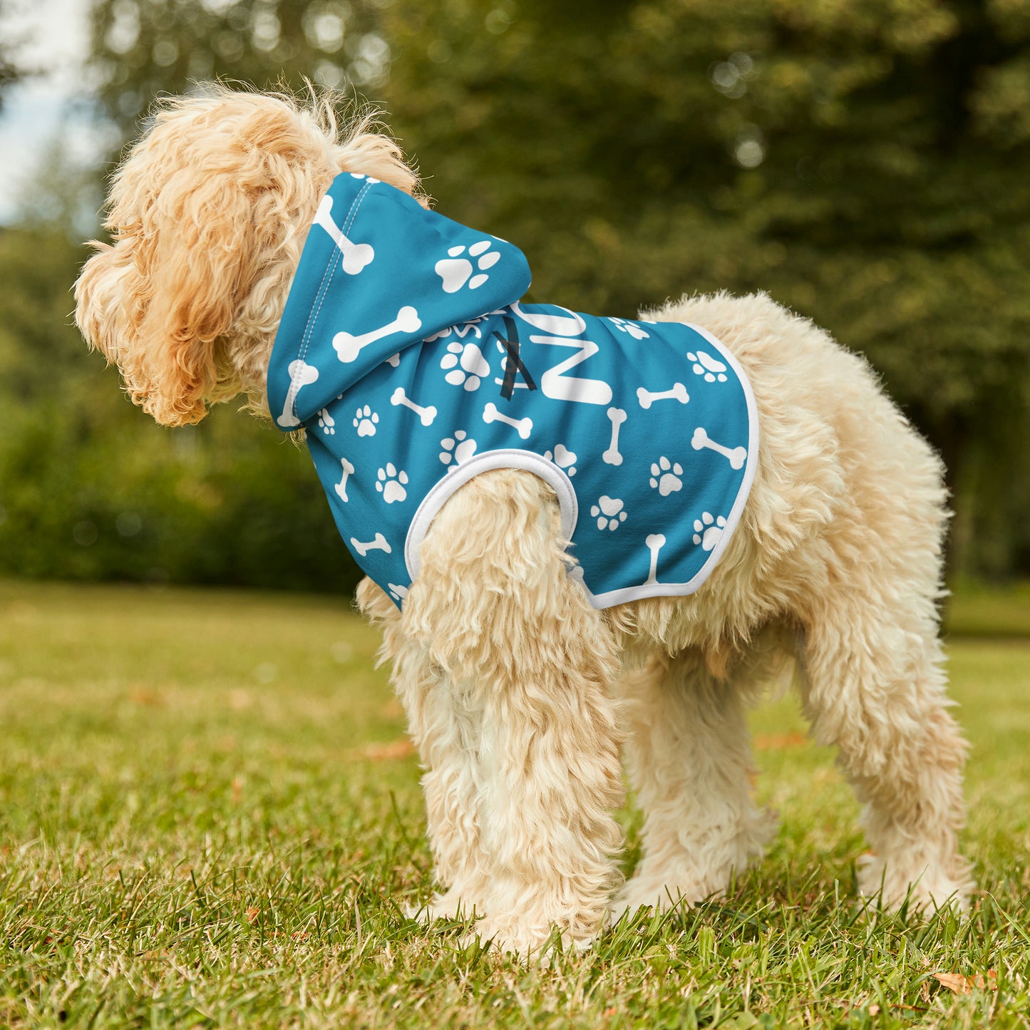 Spill the Treats Turquoise Pet Hoodie