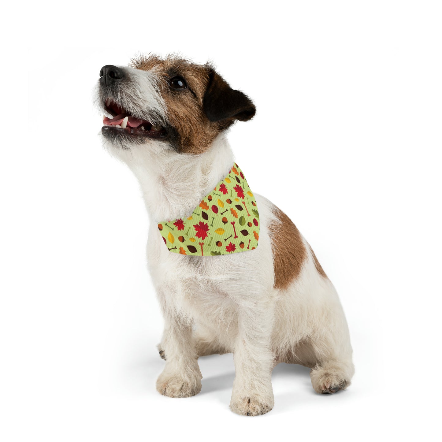 Collar Me Fall Bandana Collar