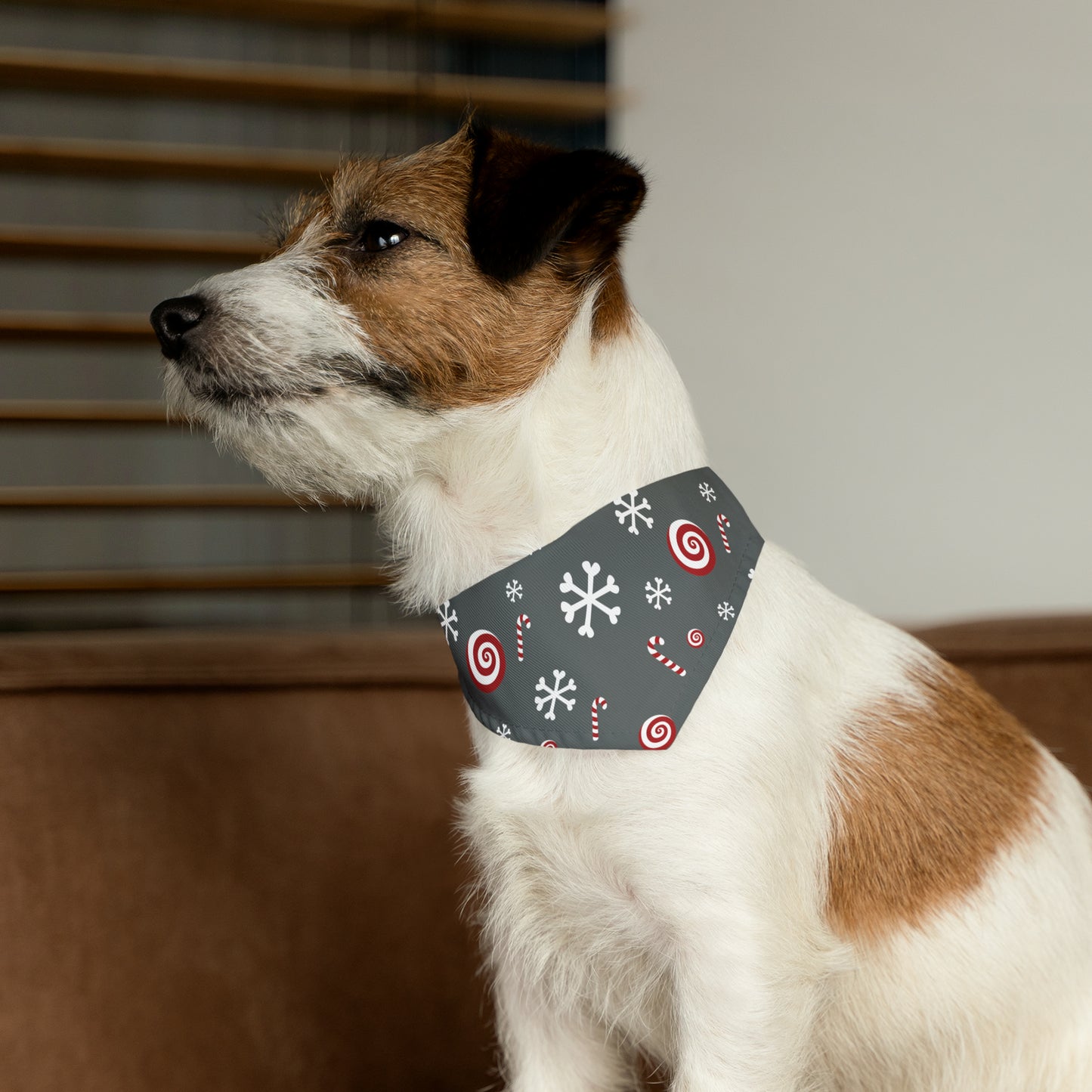 Candy Cane Collar Bandana ~ Charcoal