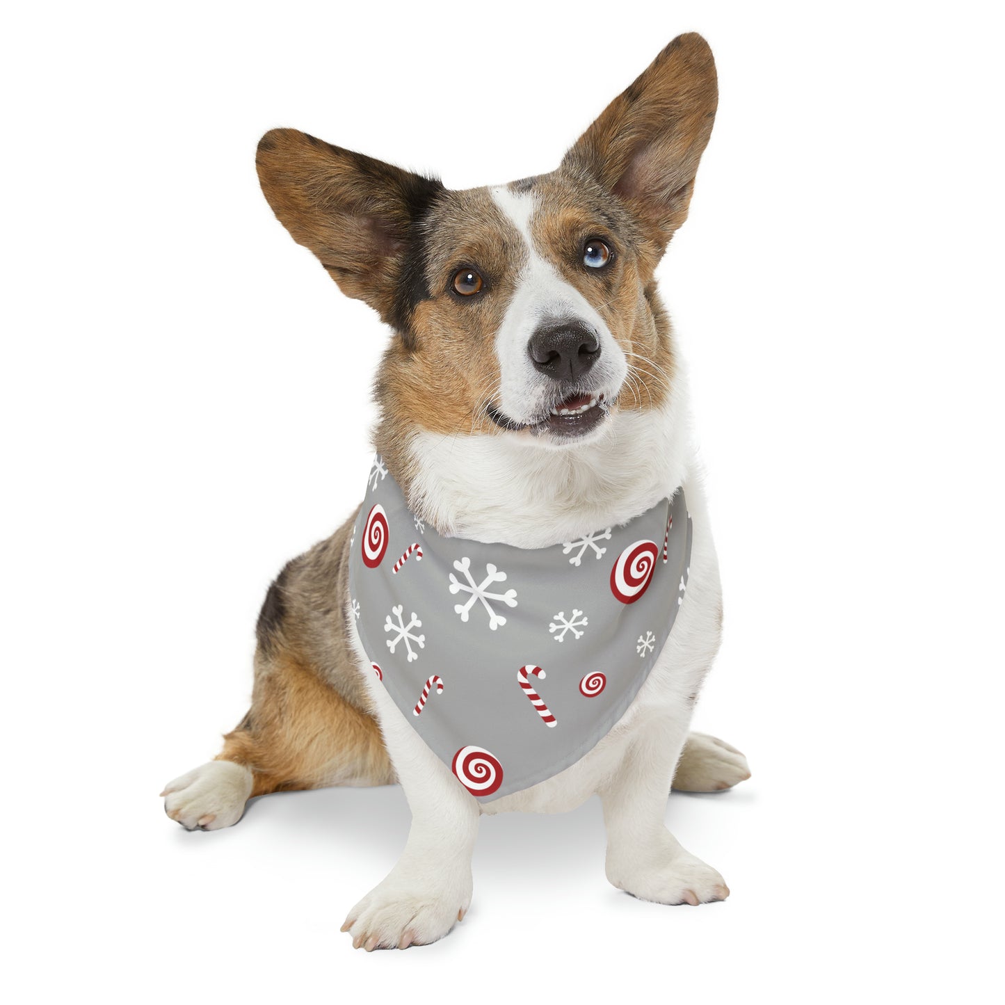 Candy Cane Collar Bandana