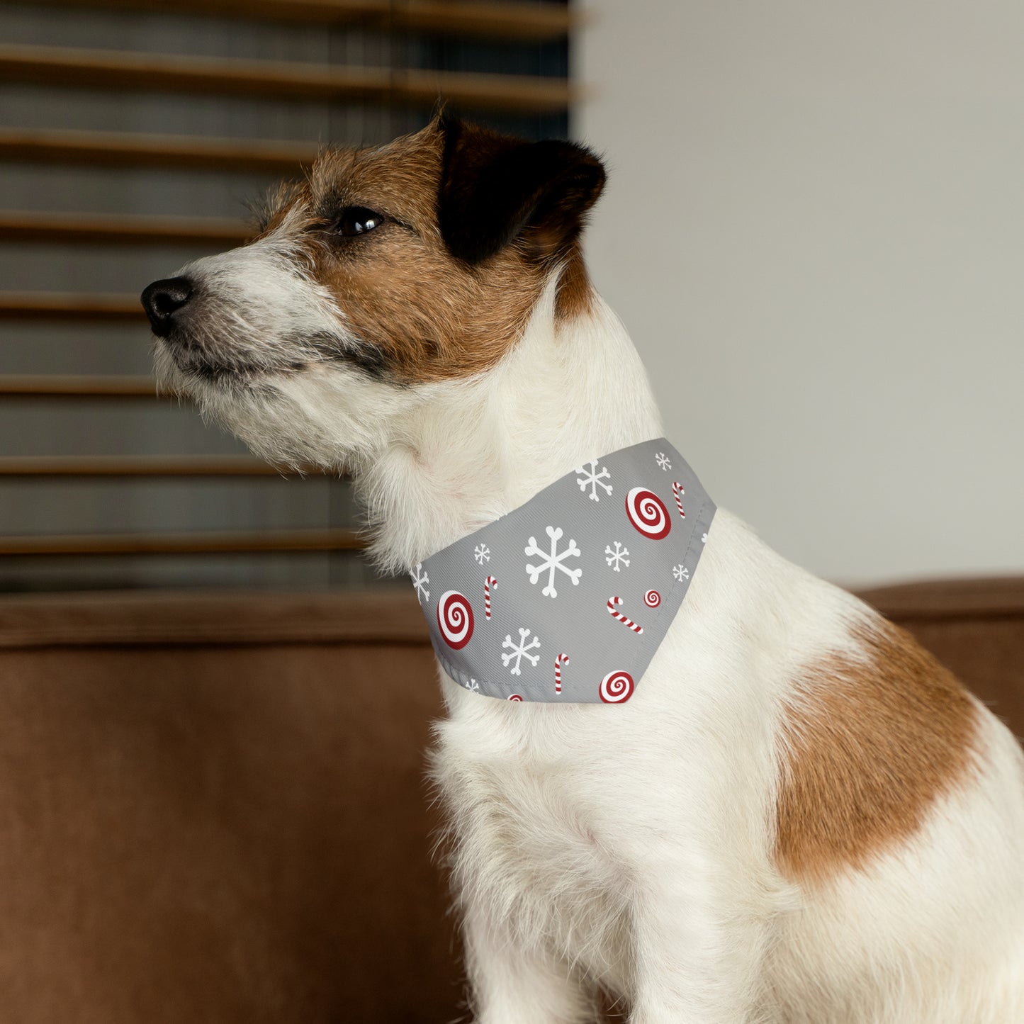 Candy Cane Collar Bandana