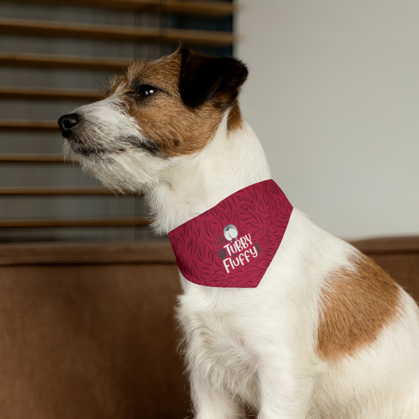 I'm Not Tubby, I'm Fluffly - Pet Bandana Collar