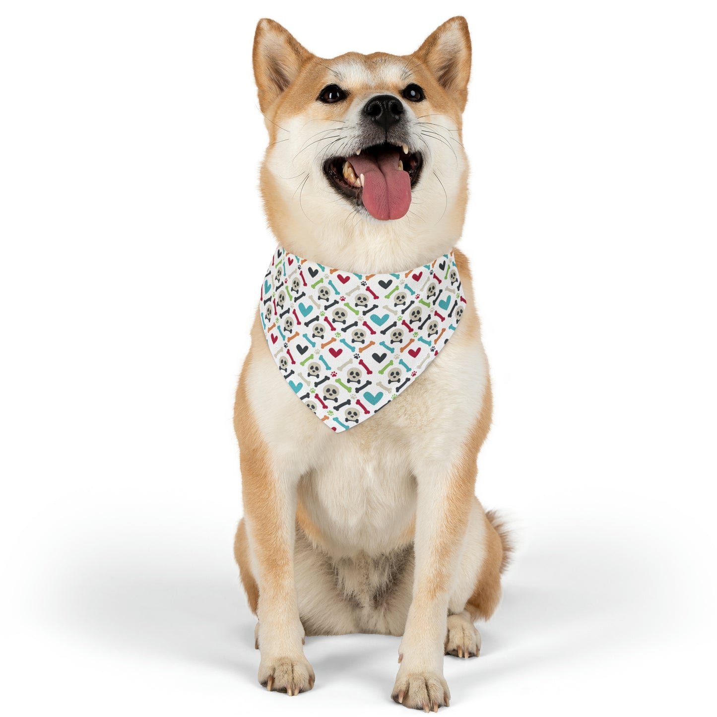 Bones Bandana Collar