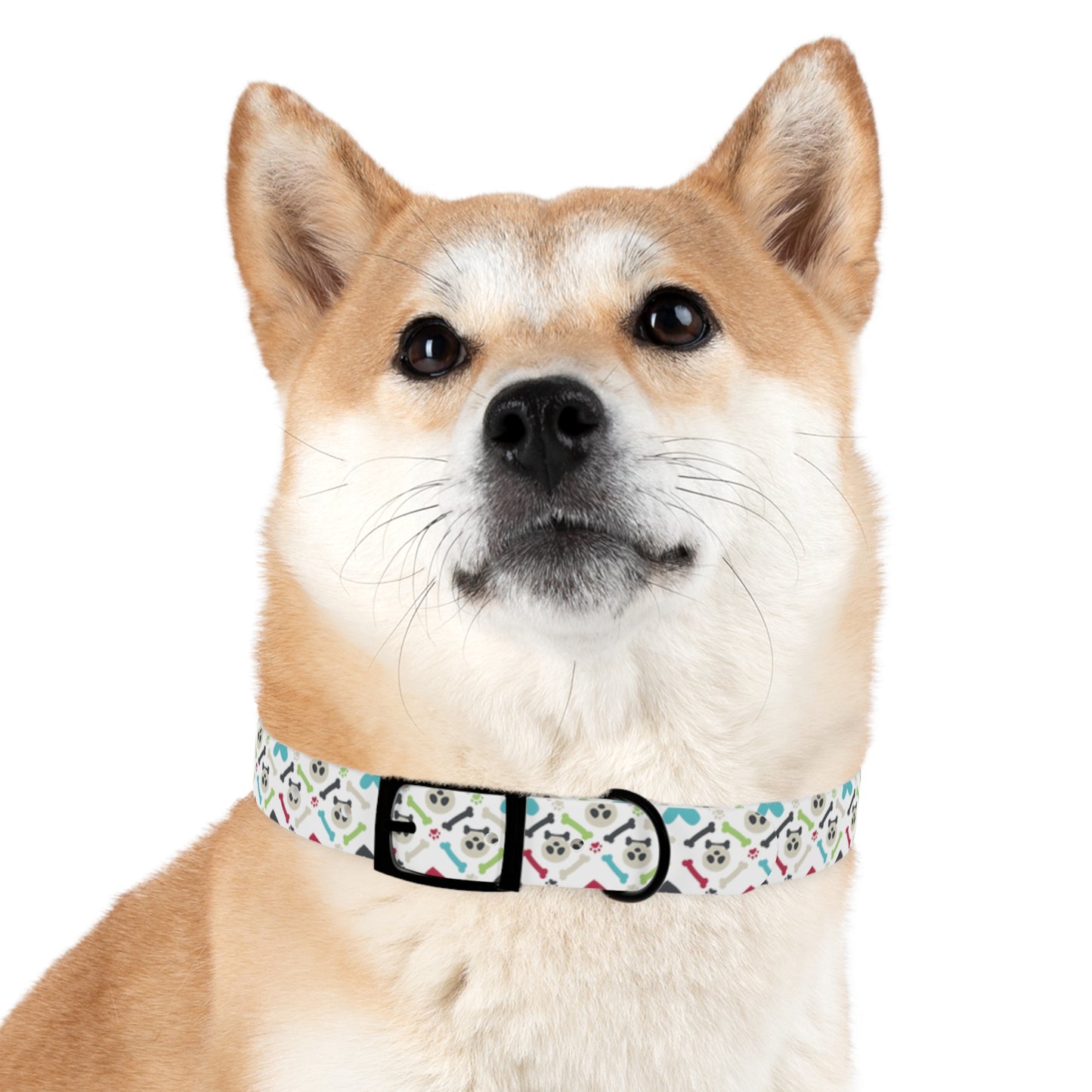 Bones Dog Collar