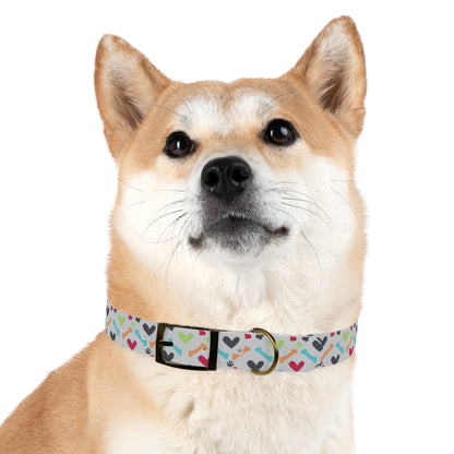 Did Someone Say Moose? Dog Collar