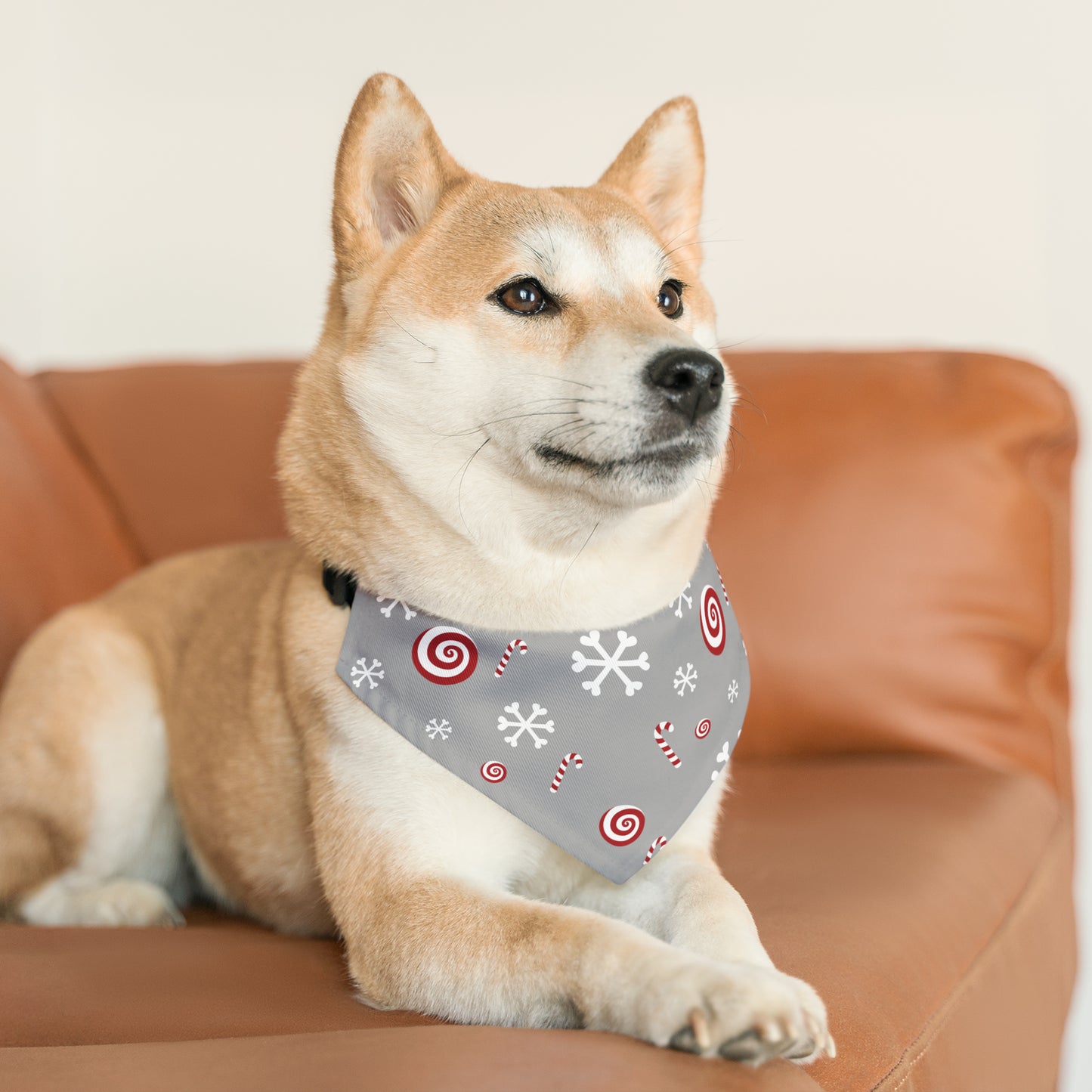 Candy Cane Collar Bandana