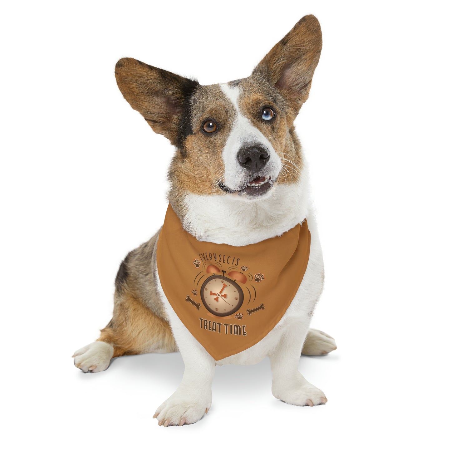 Every Sec is Treat Time Pet Bandana Collar