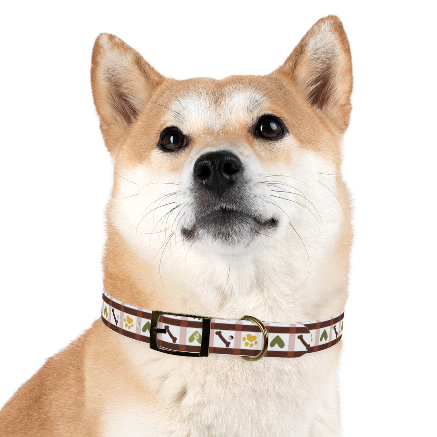 Puppy Love Dog Collar