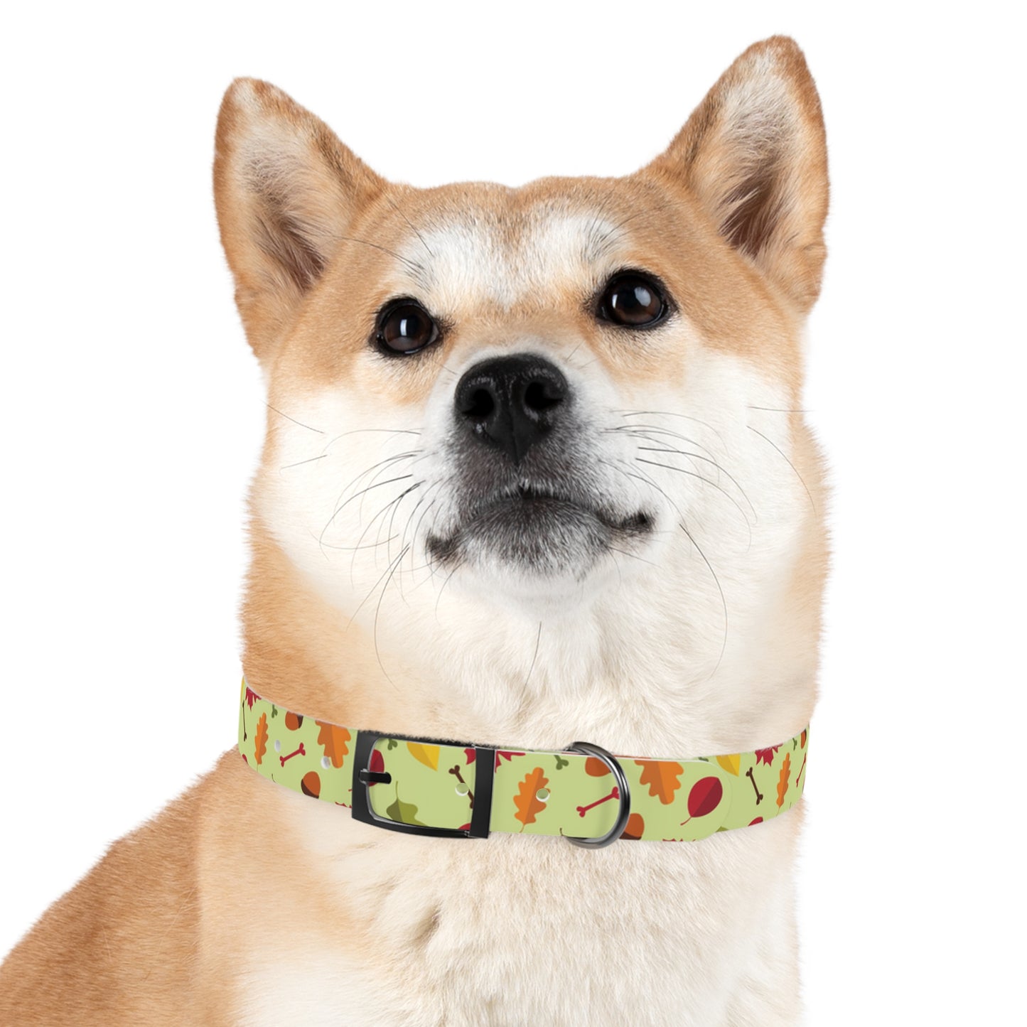 Leaf Me To It Dog Collar