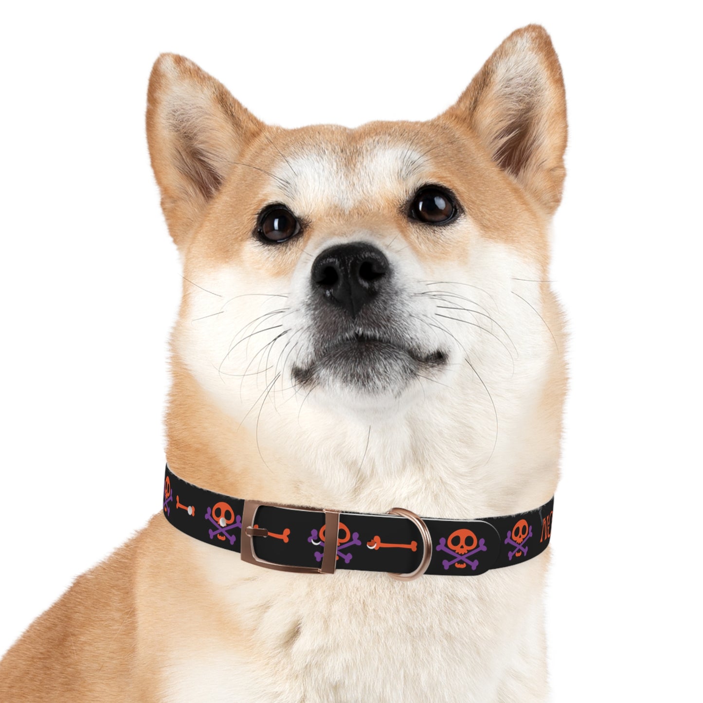 No Treats No Trick Halloween Dog Collar