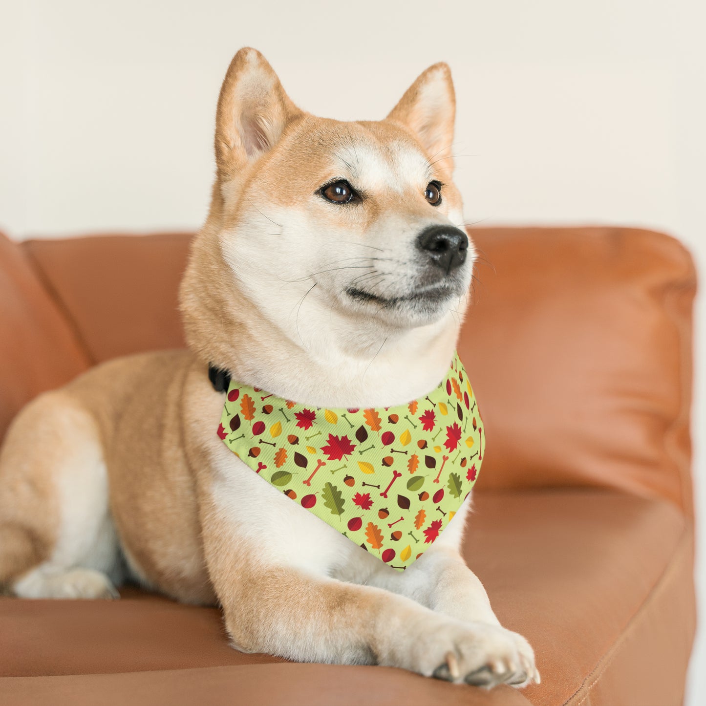 Collar Me Fall Bandana Collar