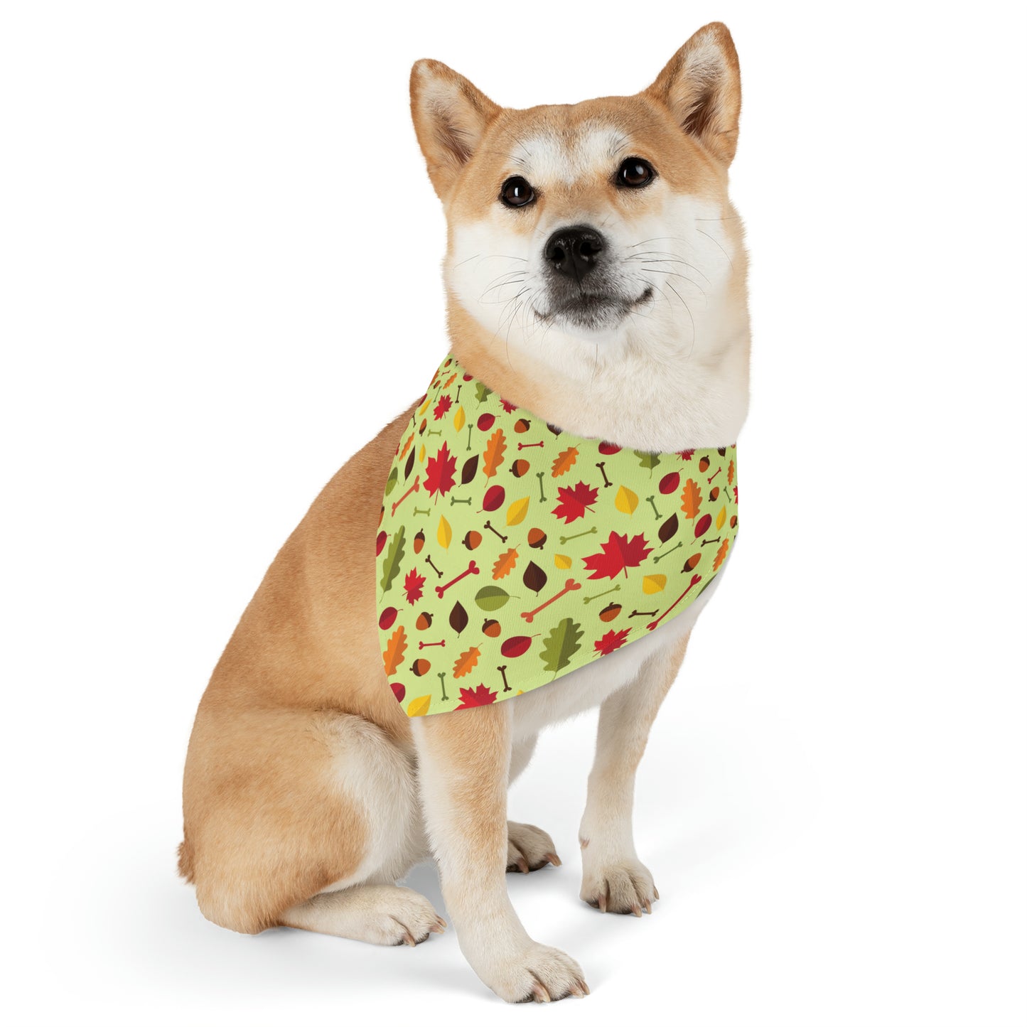 Collar Me Fall Bandana Collar