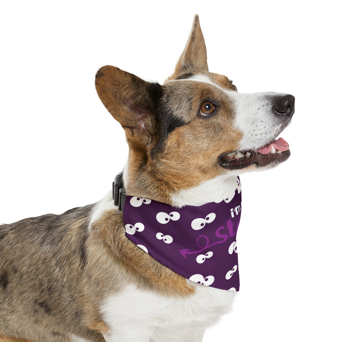 I'm with Stupid Purple Pet Bandana Collar