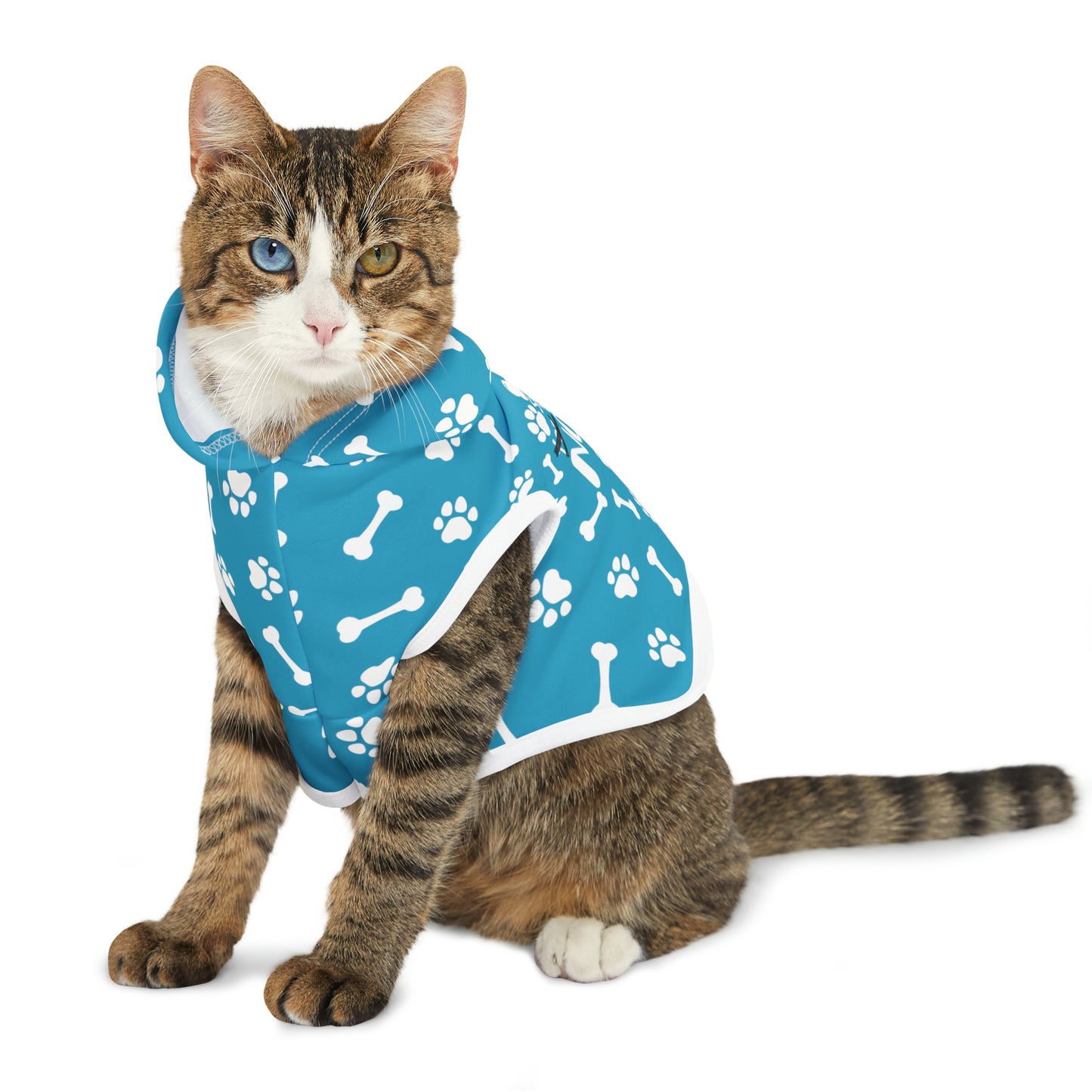 Spill the Treats Turquoise Pet Hoodie