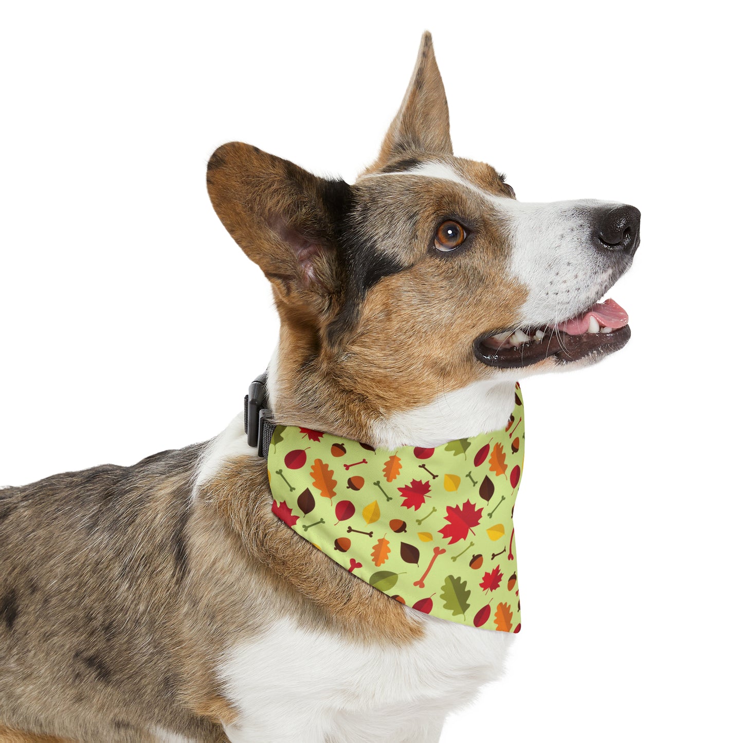 Collar Me Fall Bandana Collar