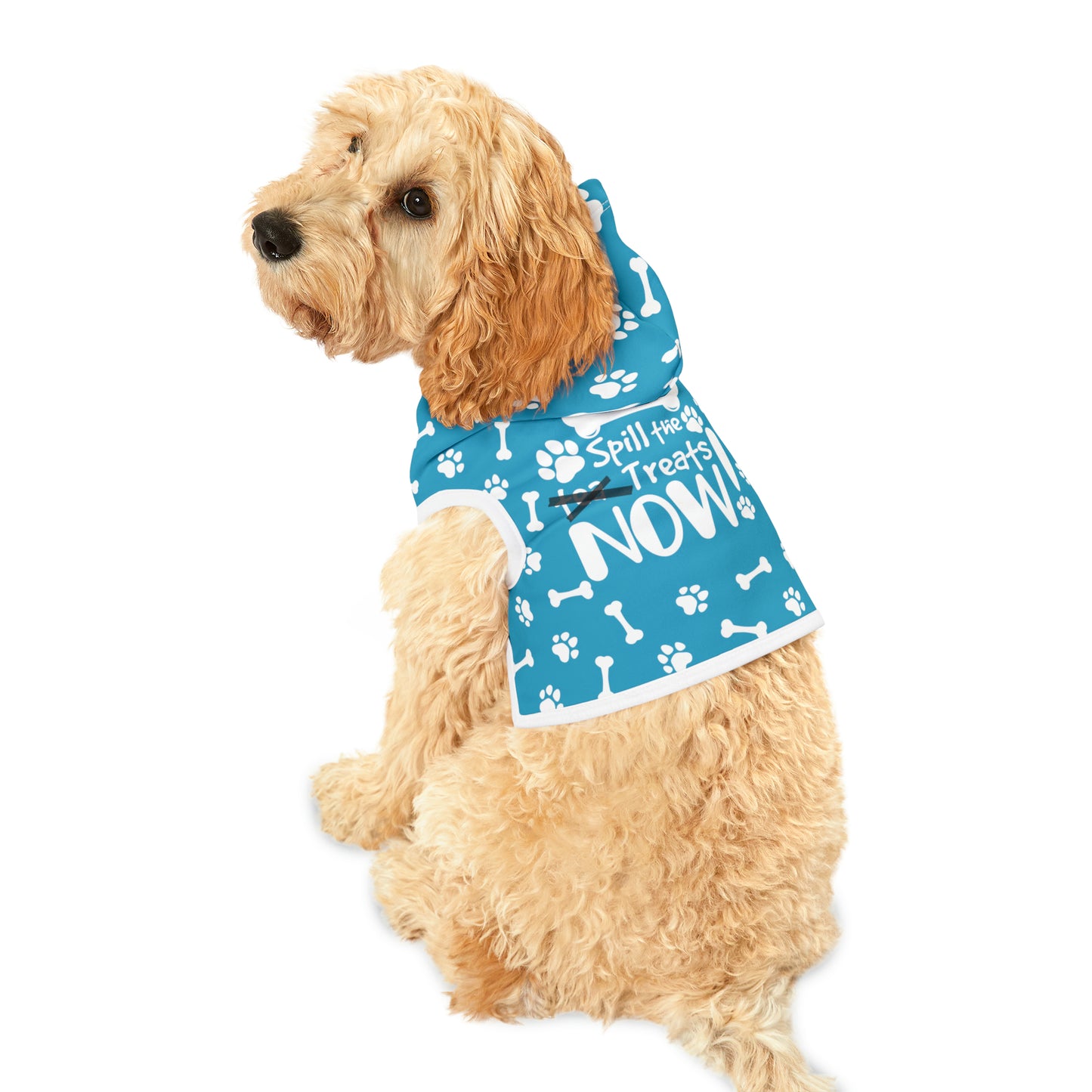 Spill the Treats Turquoise Pet Hoodie