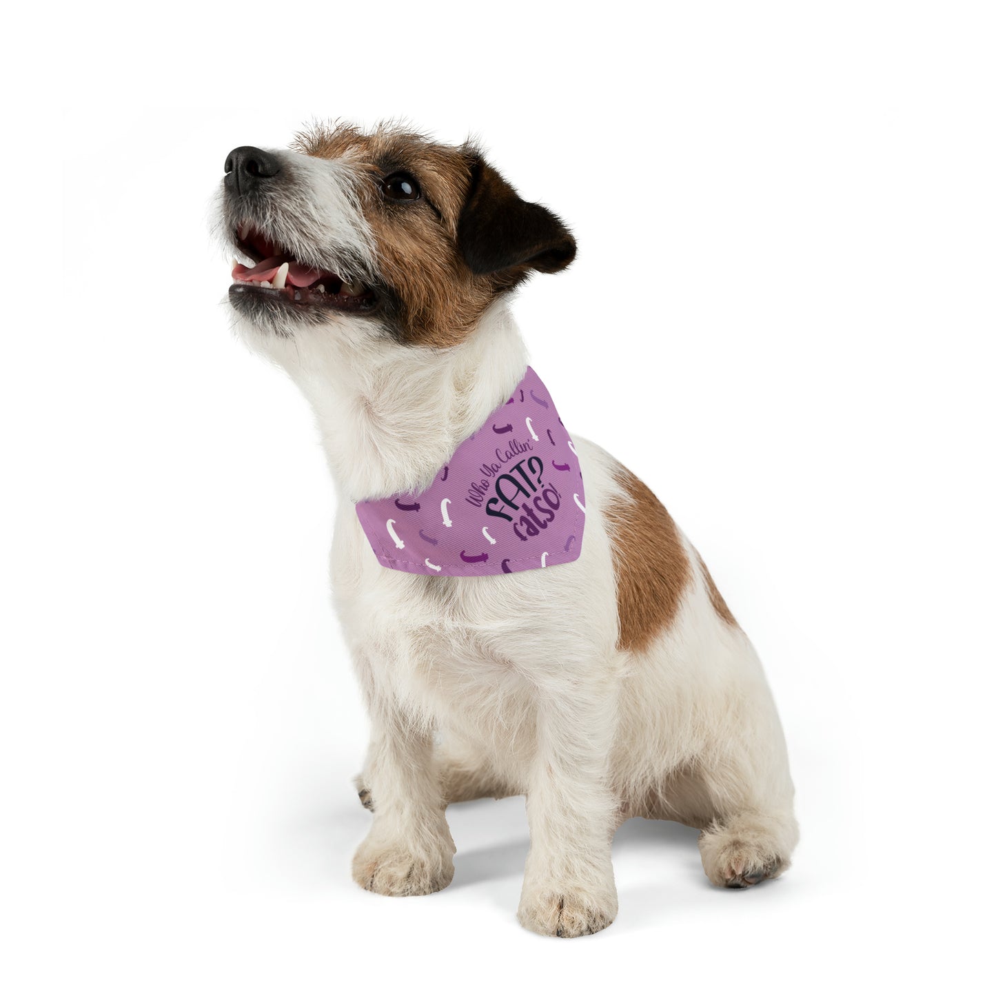 Who Ya Callin' Fat Purple Pet Bandana Collar