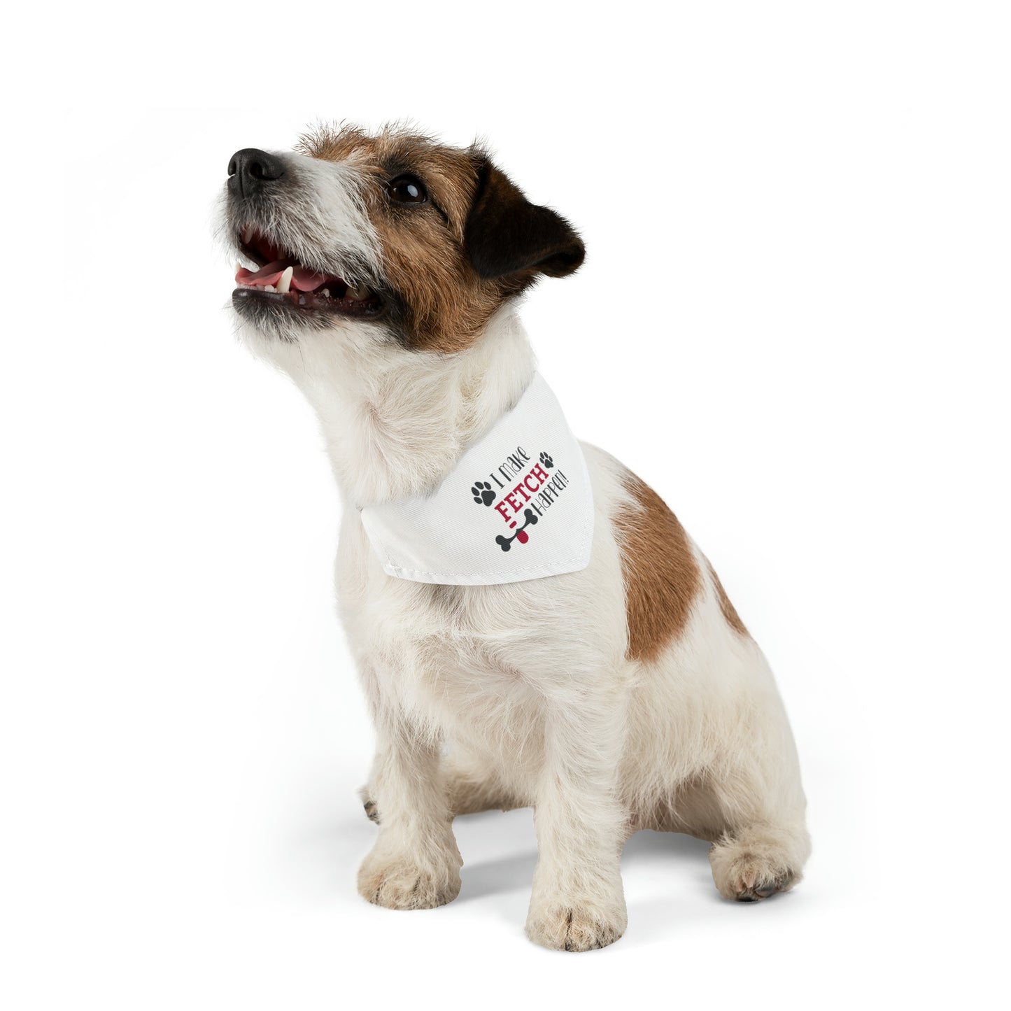 Spill the Treats - Pet Bandana Collar