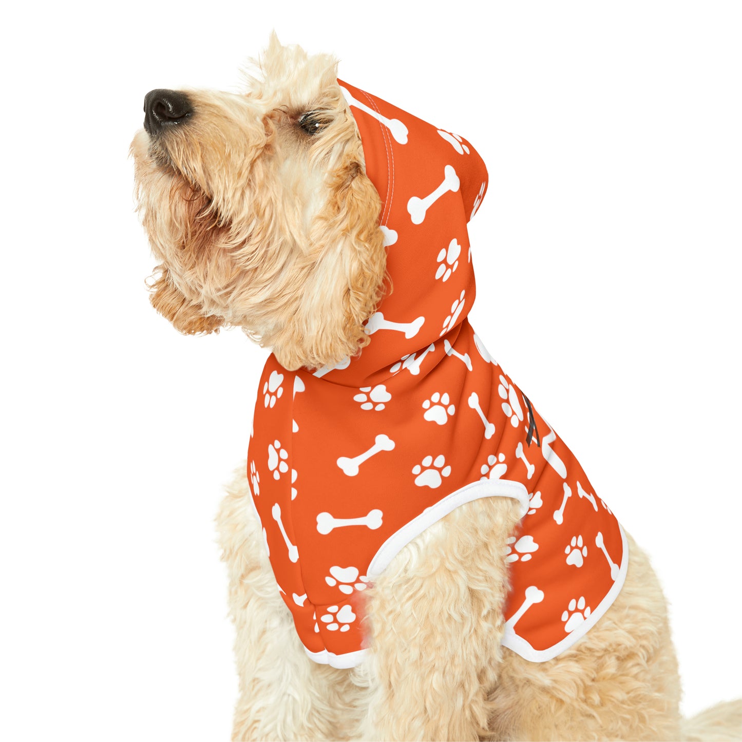 Spill the Treats Orange Pet Hoodie