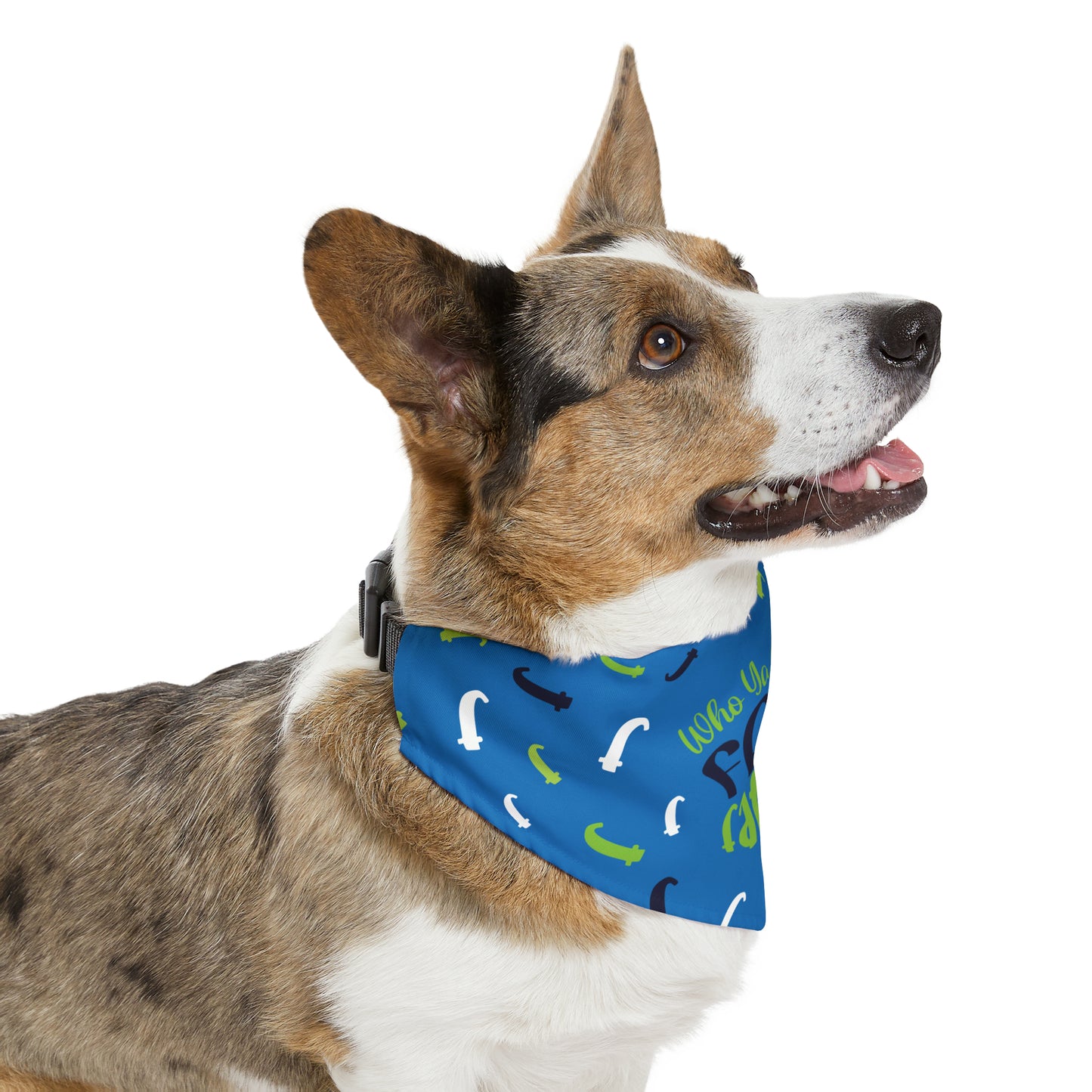 Who Ya Callin' Fat Blue Pet Bandana Collar