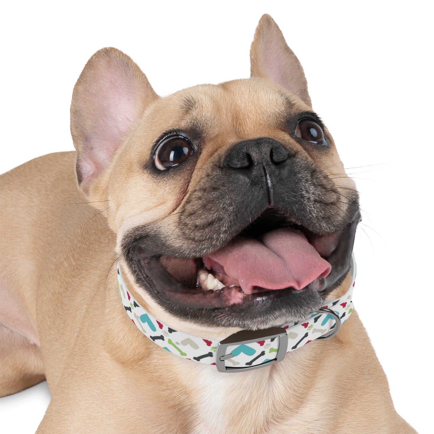 Bones, Paw prints and Hearts Oh My! Dog Collar