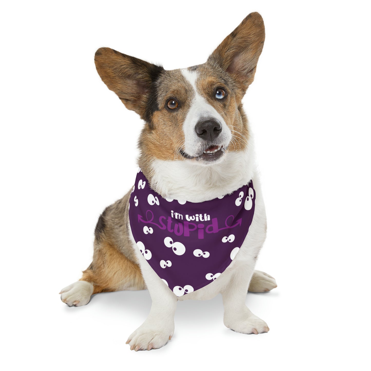 I'm with Stupid Purple Pet Bandana Collar