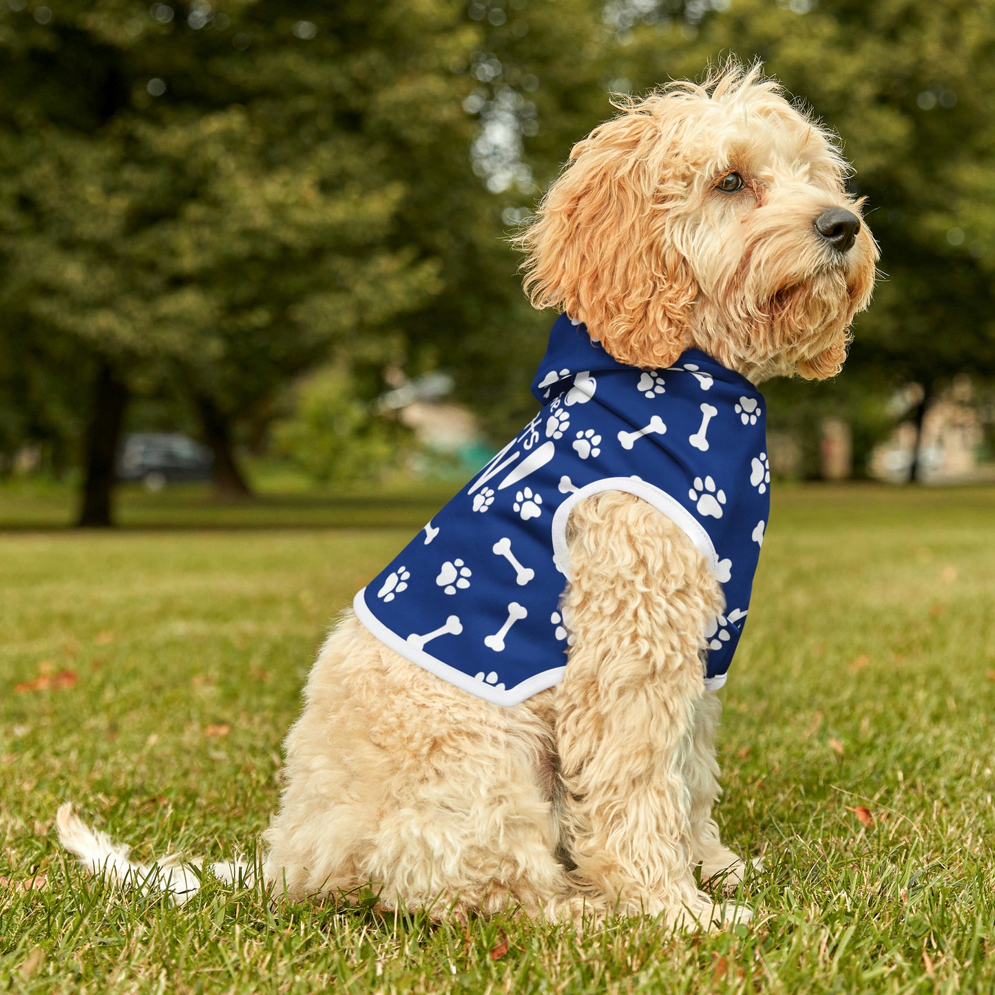 Spill the Treats Navy Blue Pet Hoodie