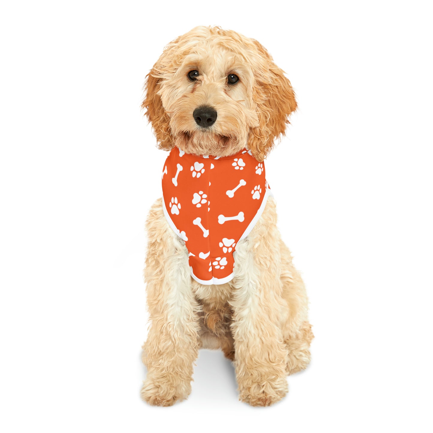 Spill the Treats Orange Pet Hoodie