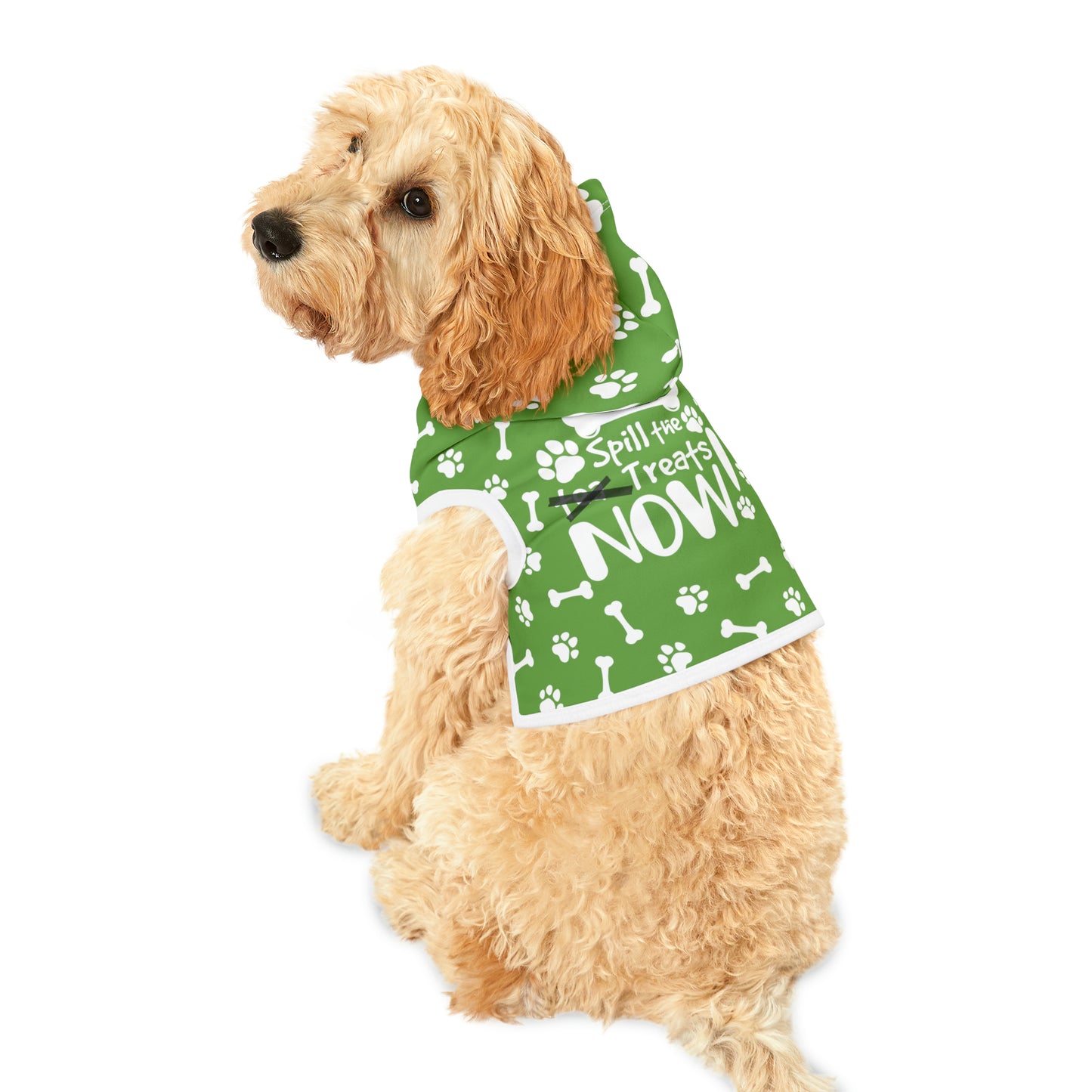 Spill the Treats Green Pet Hoodie