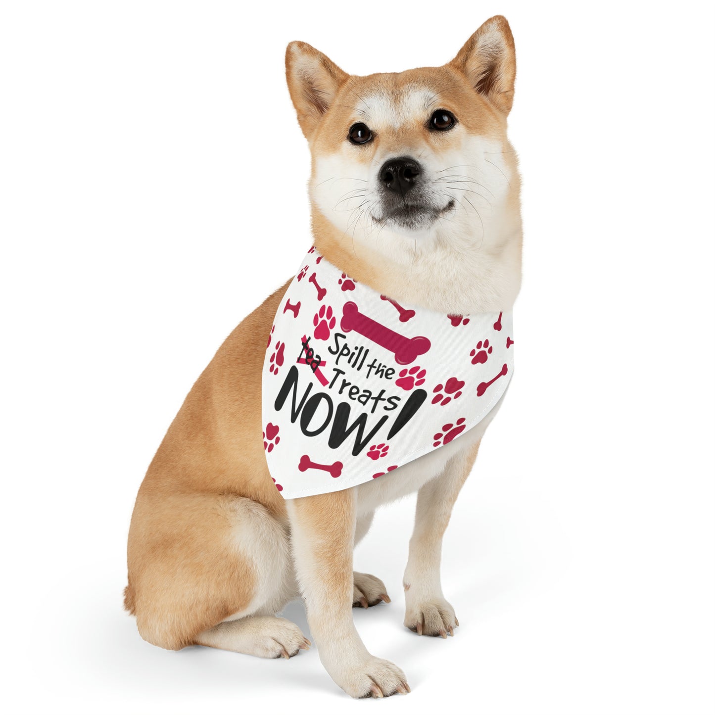 Spill the Treats - Pet Bandana Collar