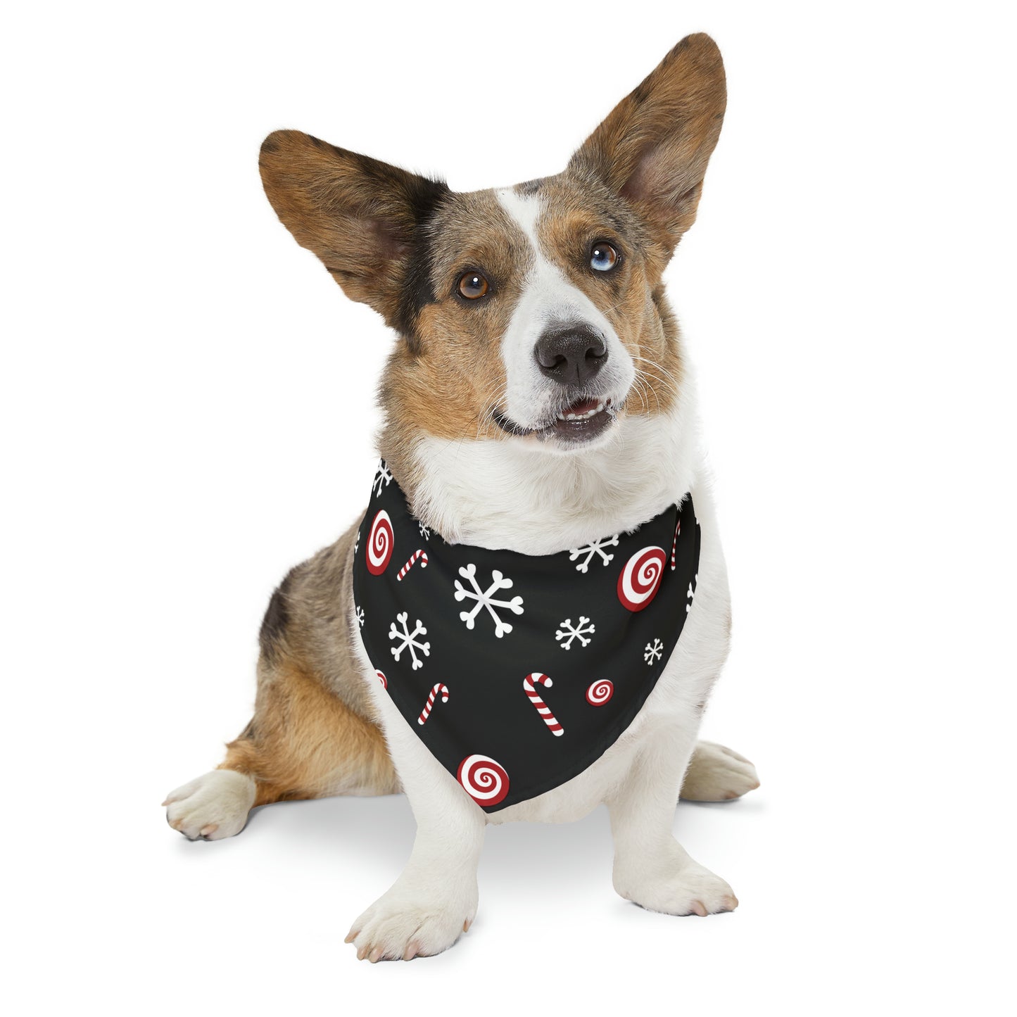 Candy Cane Collar Bandana ~ Black