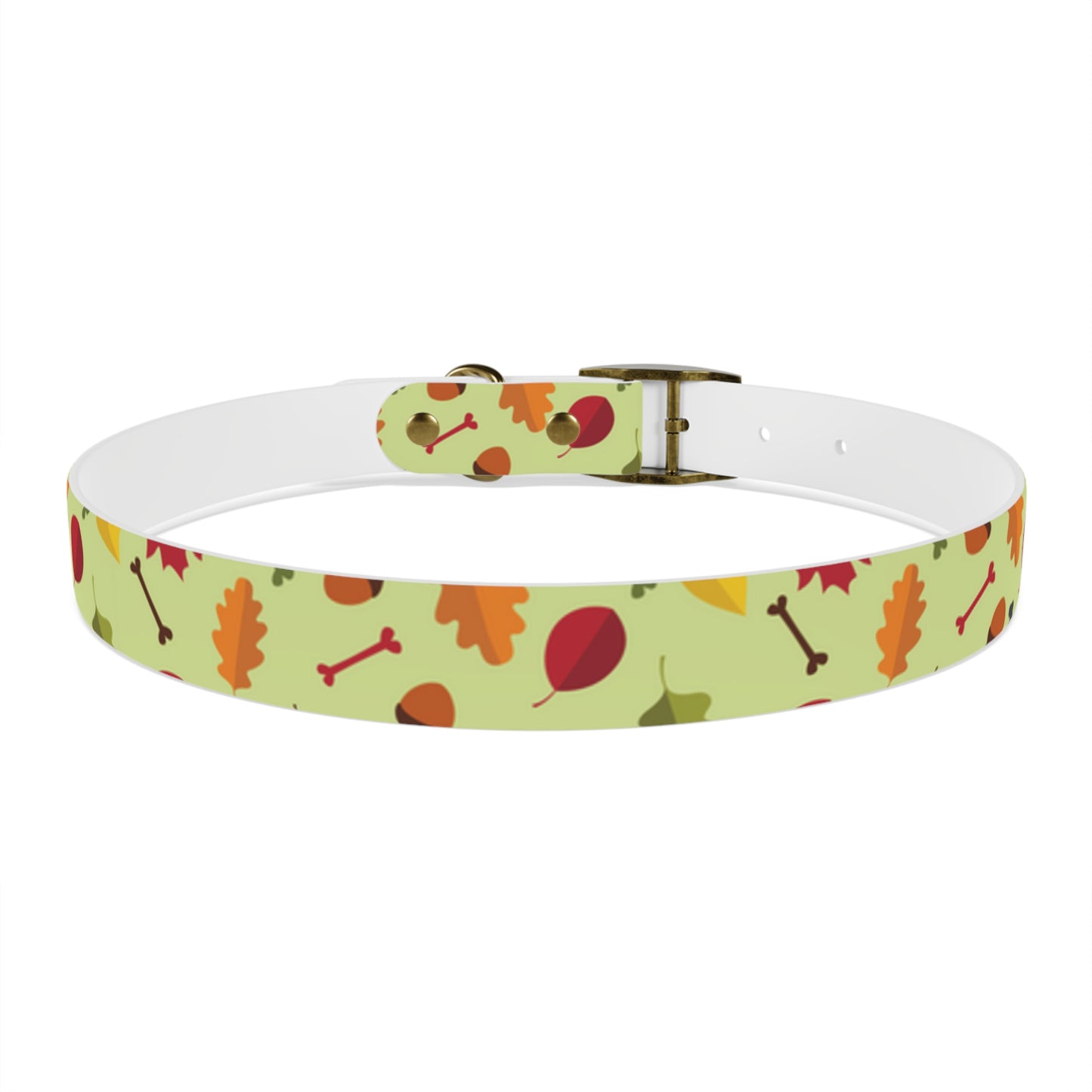 Color Me Fall Dog Collar