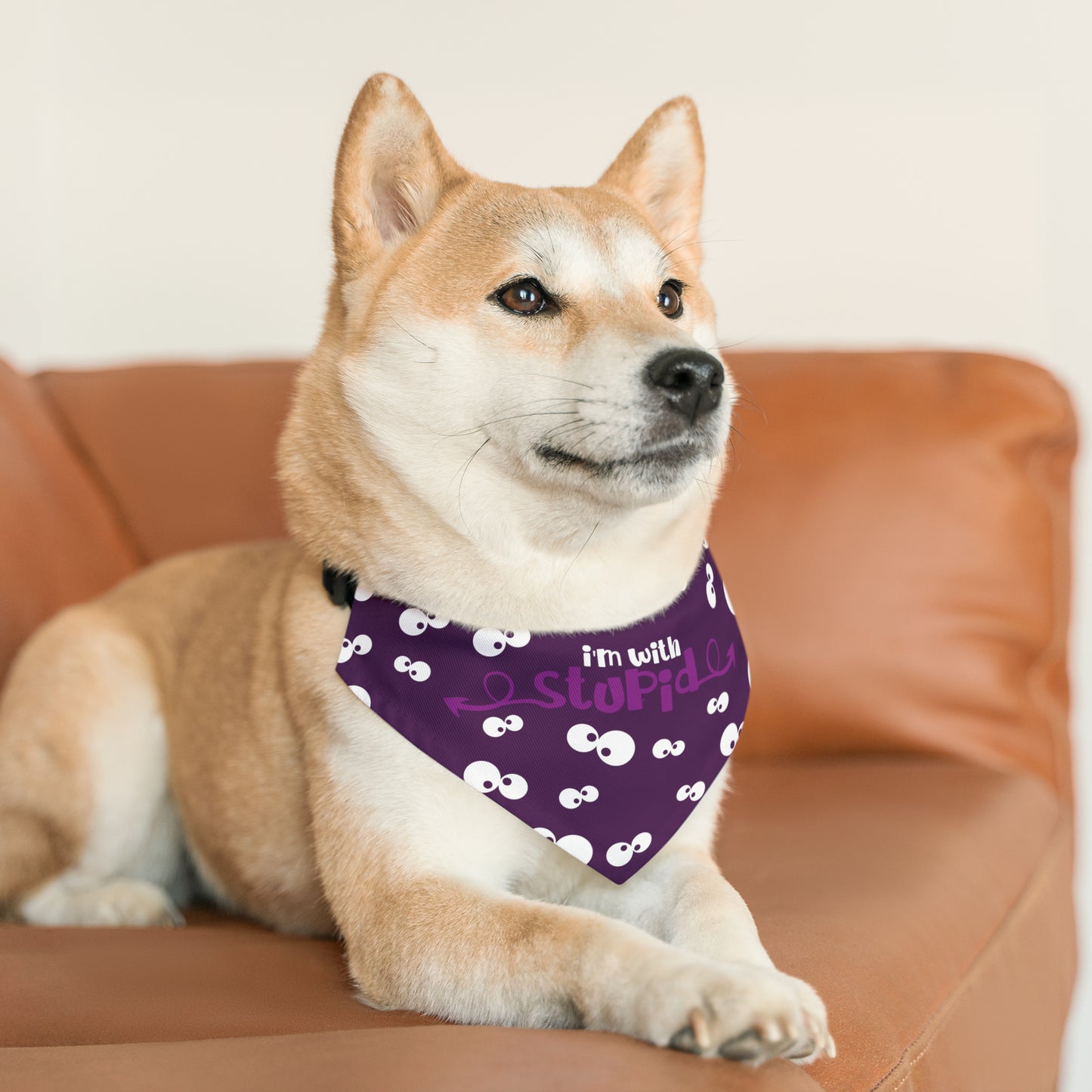 I'm with Stupid Purple Pet Bandana Collar