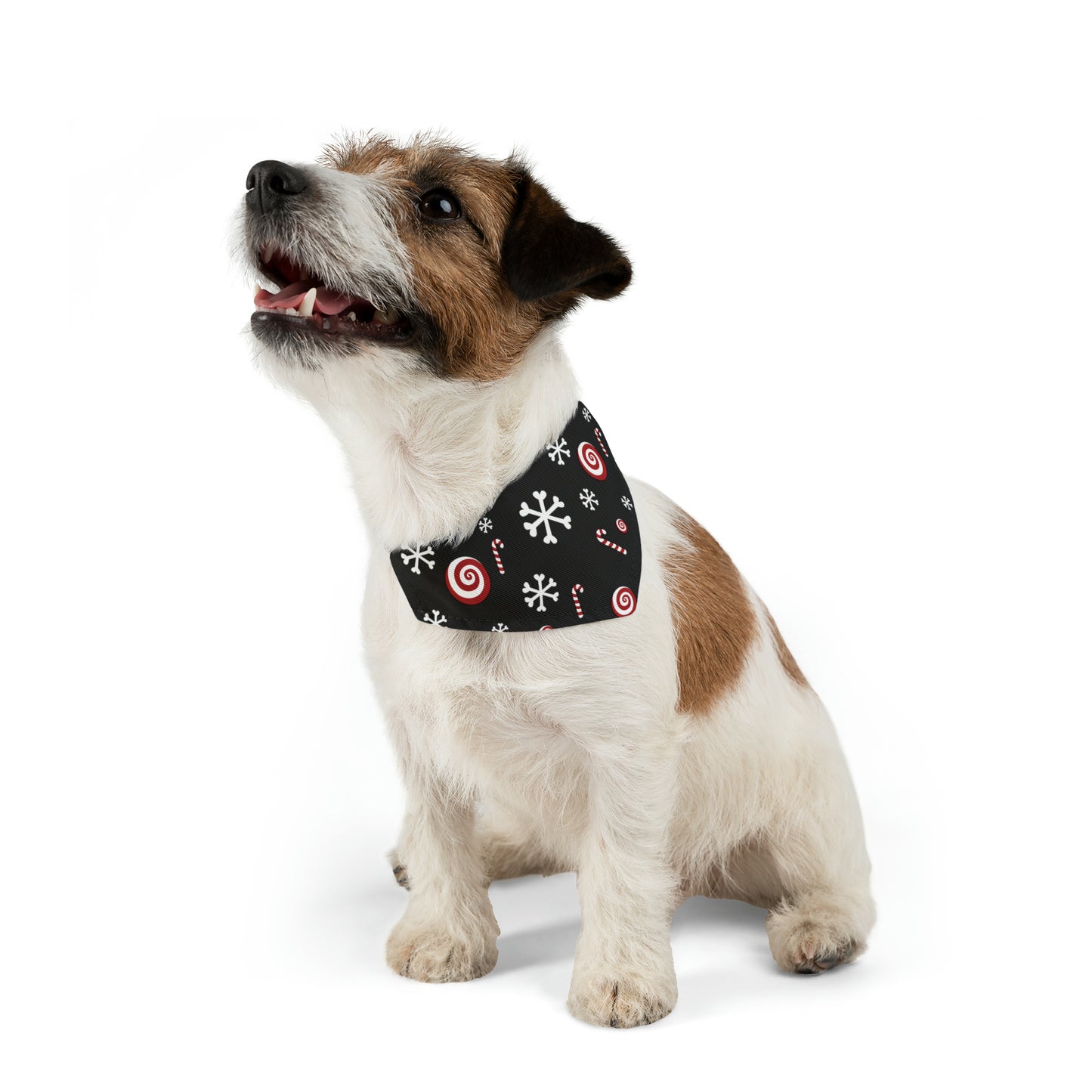 Candy Cane Collar Bandana ~ Black