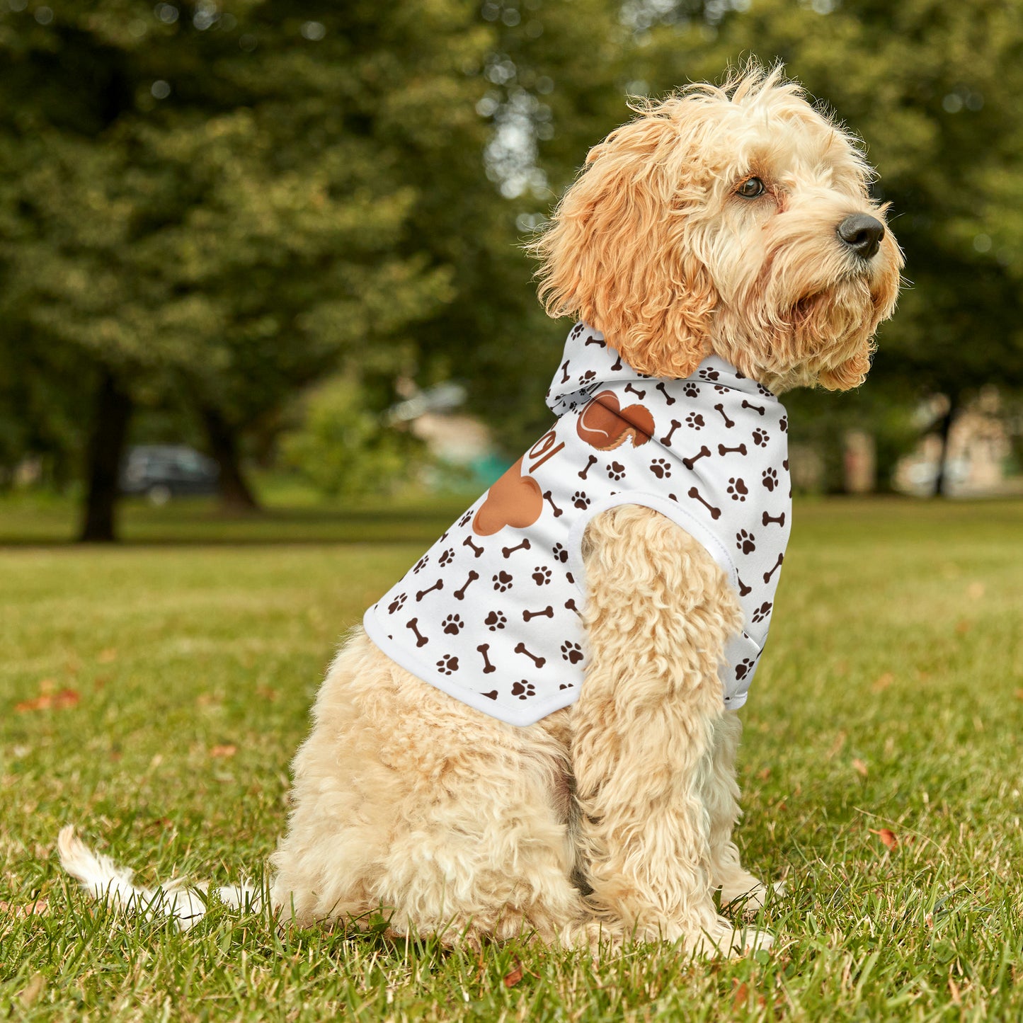 Squirrel Pawtrol Pet Hoodie