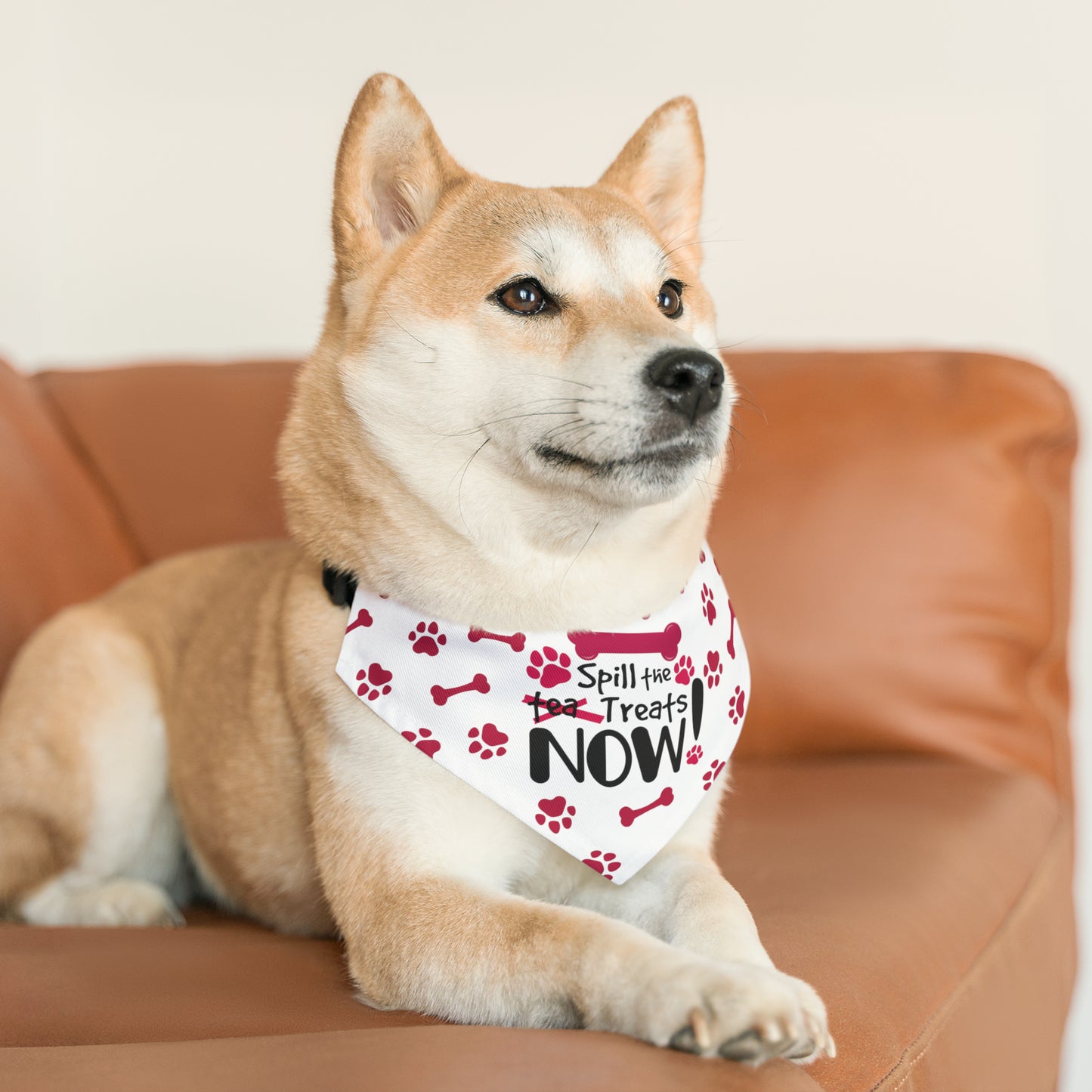 Spill the Treats - Pet Bandana Collar