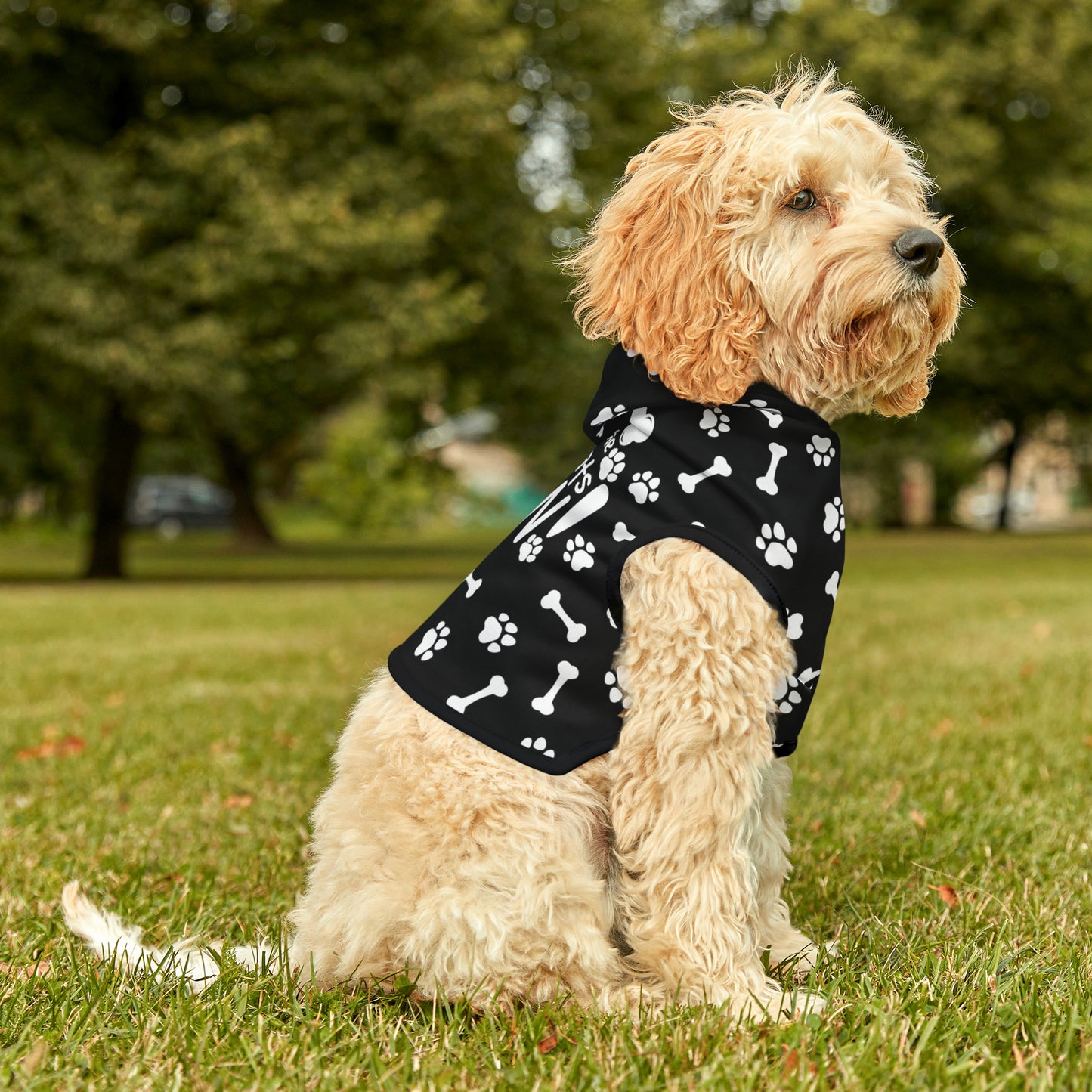 Spill the Treats BLACK Pet Hoodie