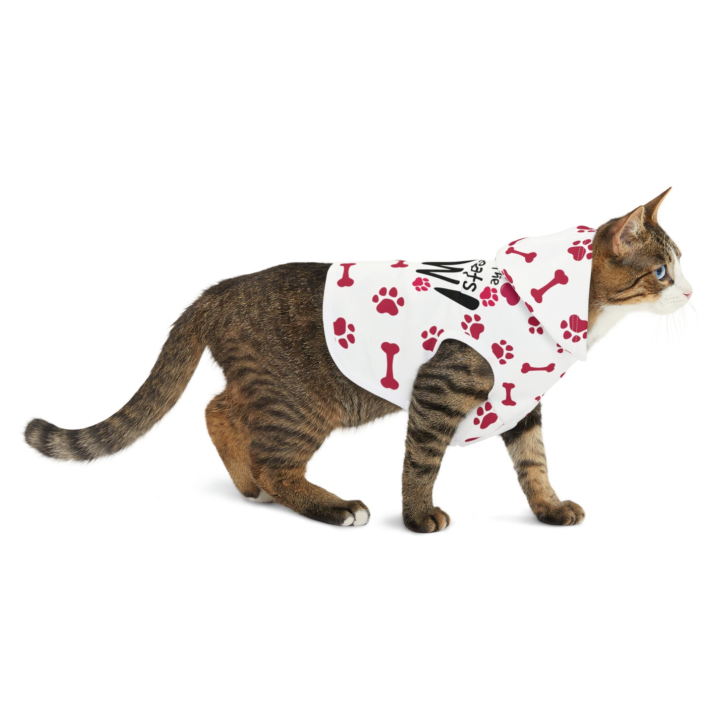 Spill the Treats RED Pet Hoodie