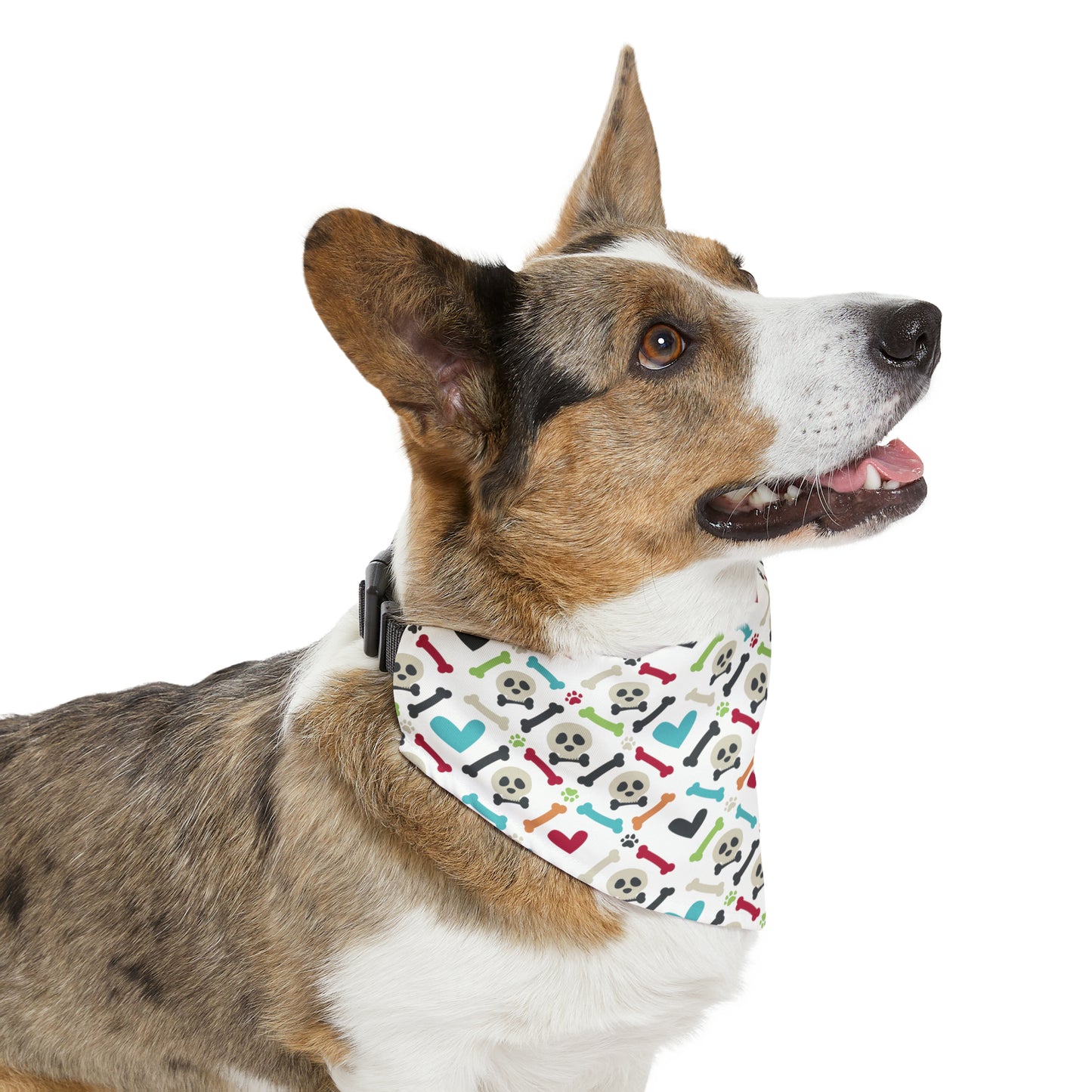 Copy of Bones Bandana Collar