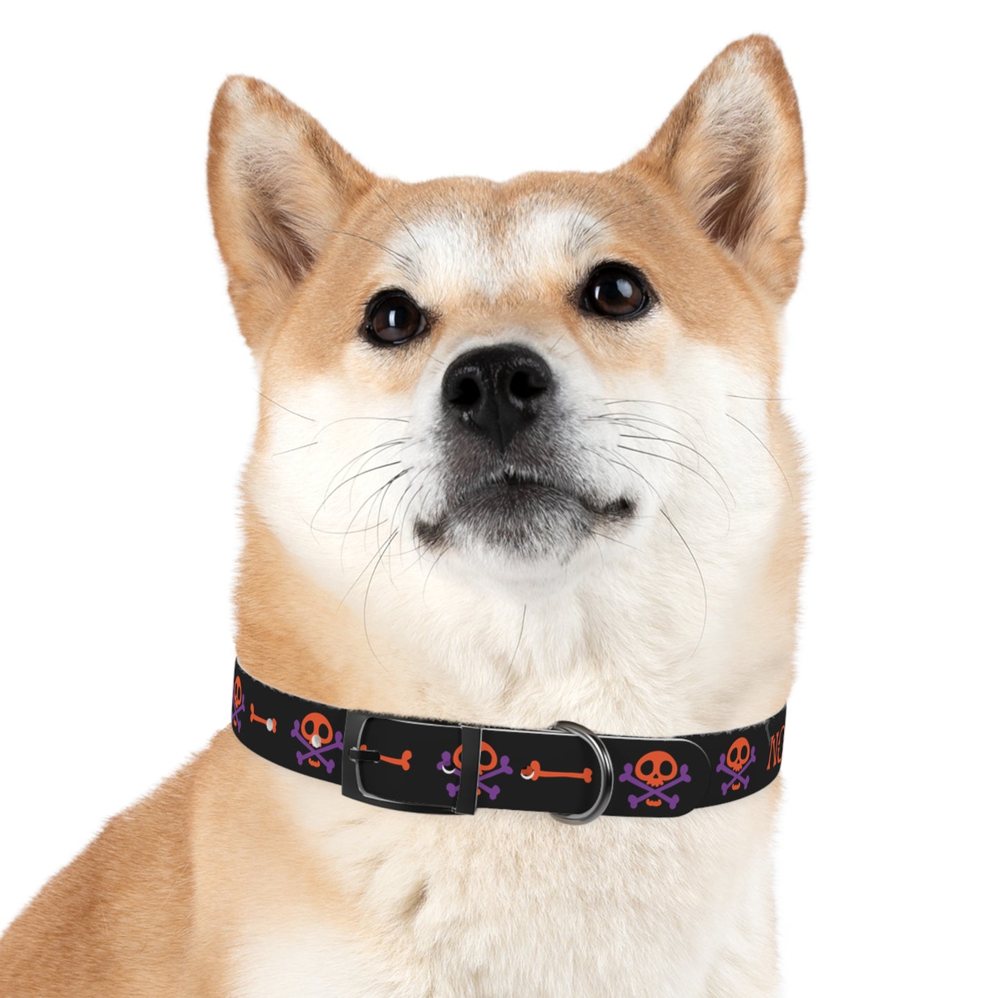 No Treats No Trick Halloween Dog Collar