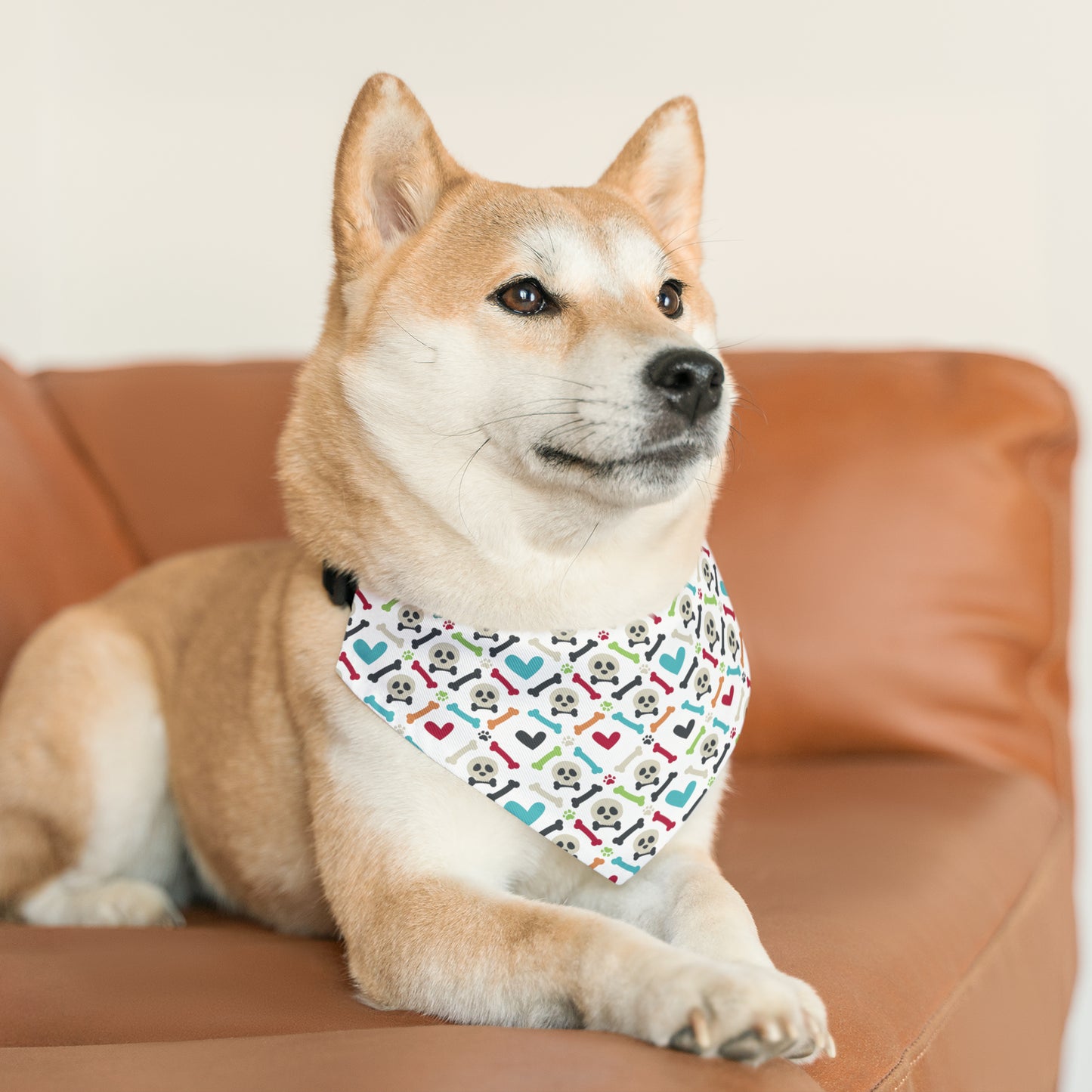 Bones Bandana Collar