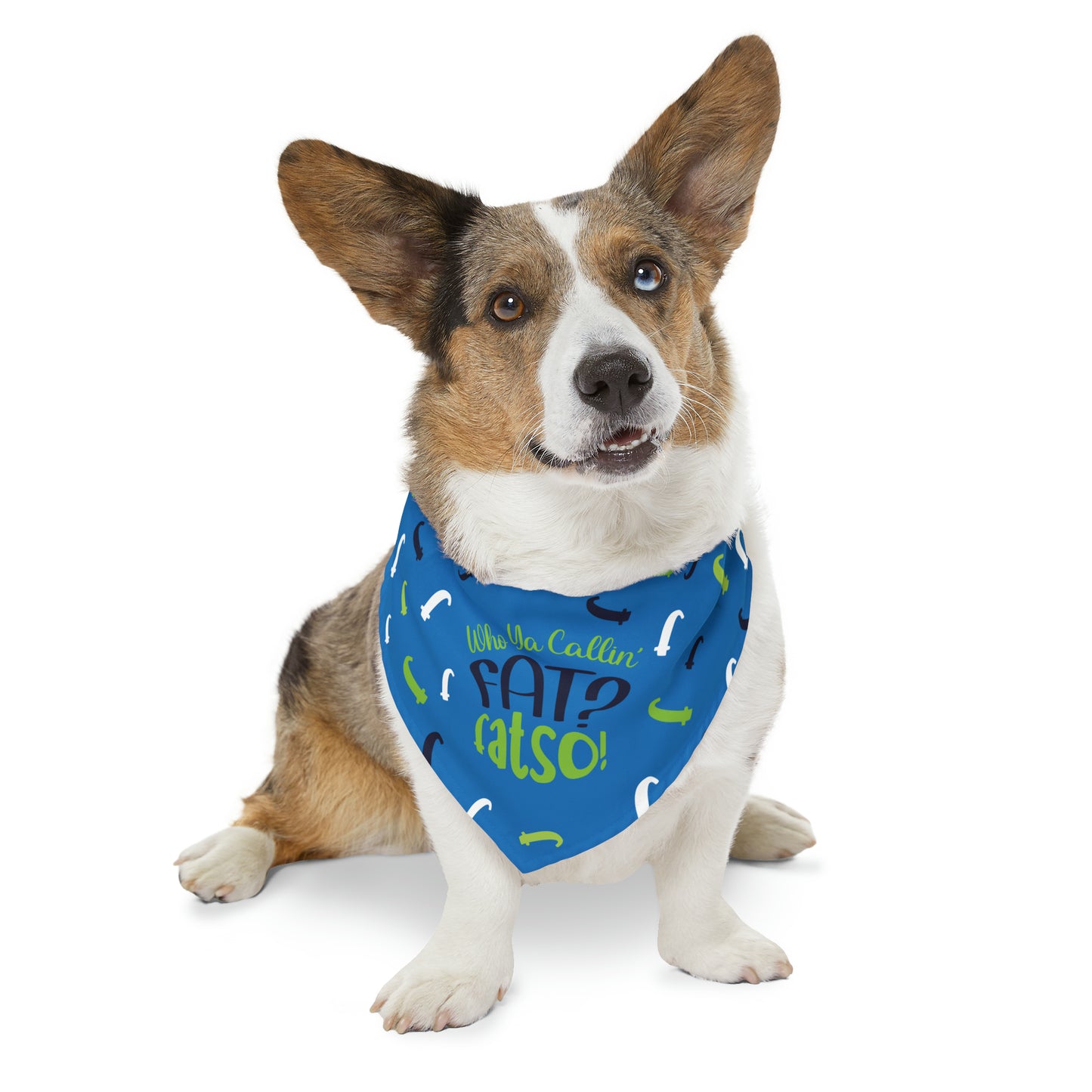 Who Ya Callin' Fat Blue Pet Bandana Collar