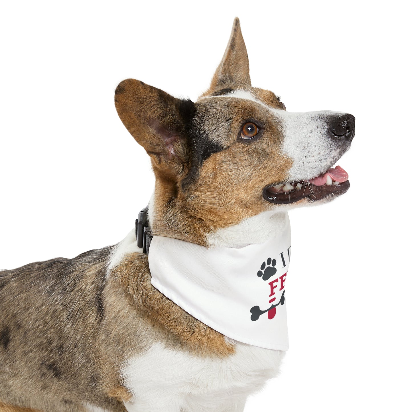 I Make Fetch Happen - Pet Bandana Collar